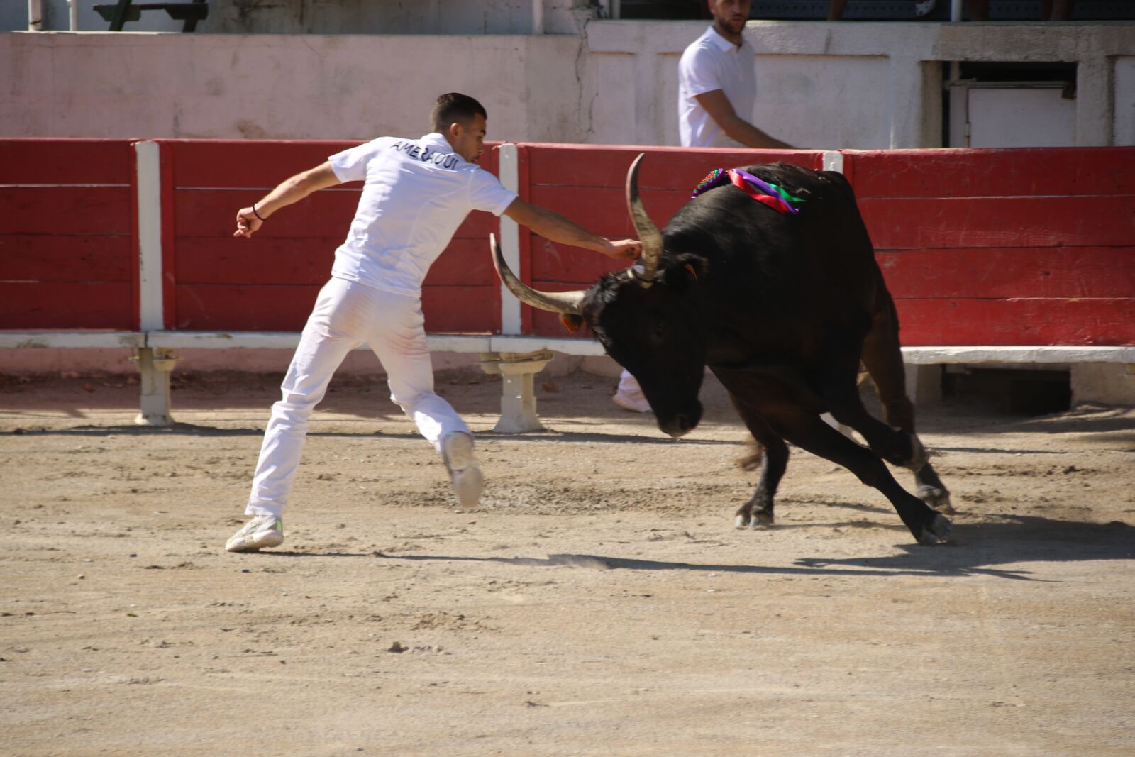 Canon EOS 7D Mark II sample photo. Arles, bull fighting, arena photography