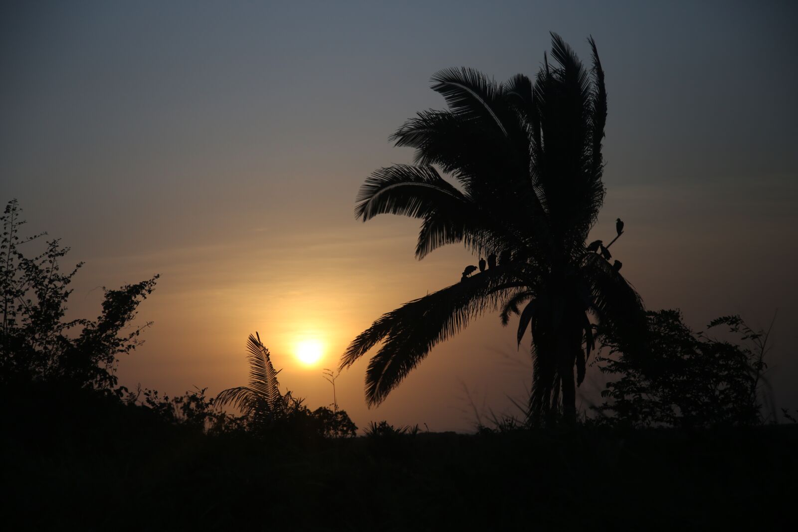 Canon EOS 6D + Canon EF 24-105mm F4L IS USM sample photo. Sol, nature, landscape photography