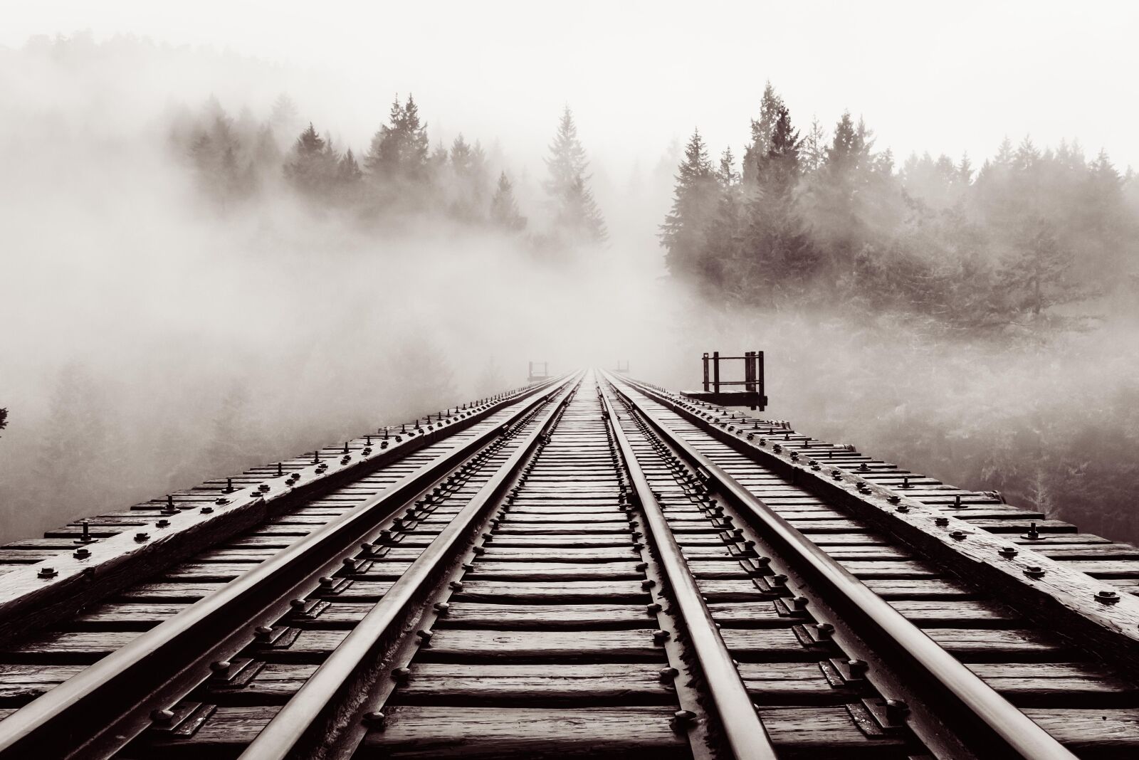 Nikon D750 sample photo. Railroad, bridge, old photography