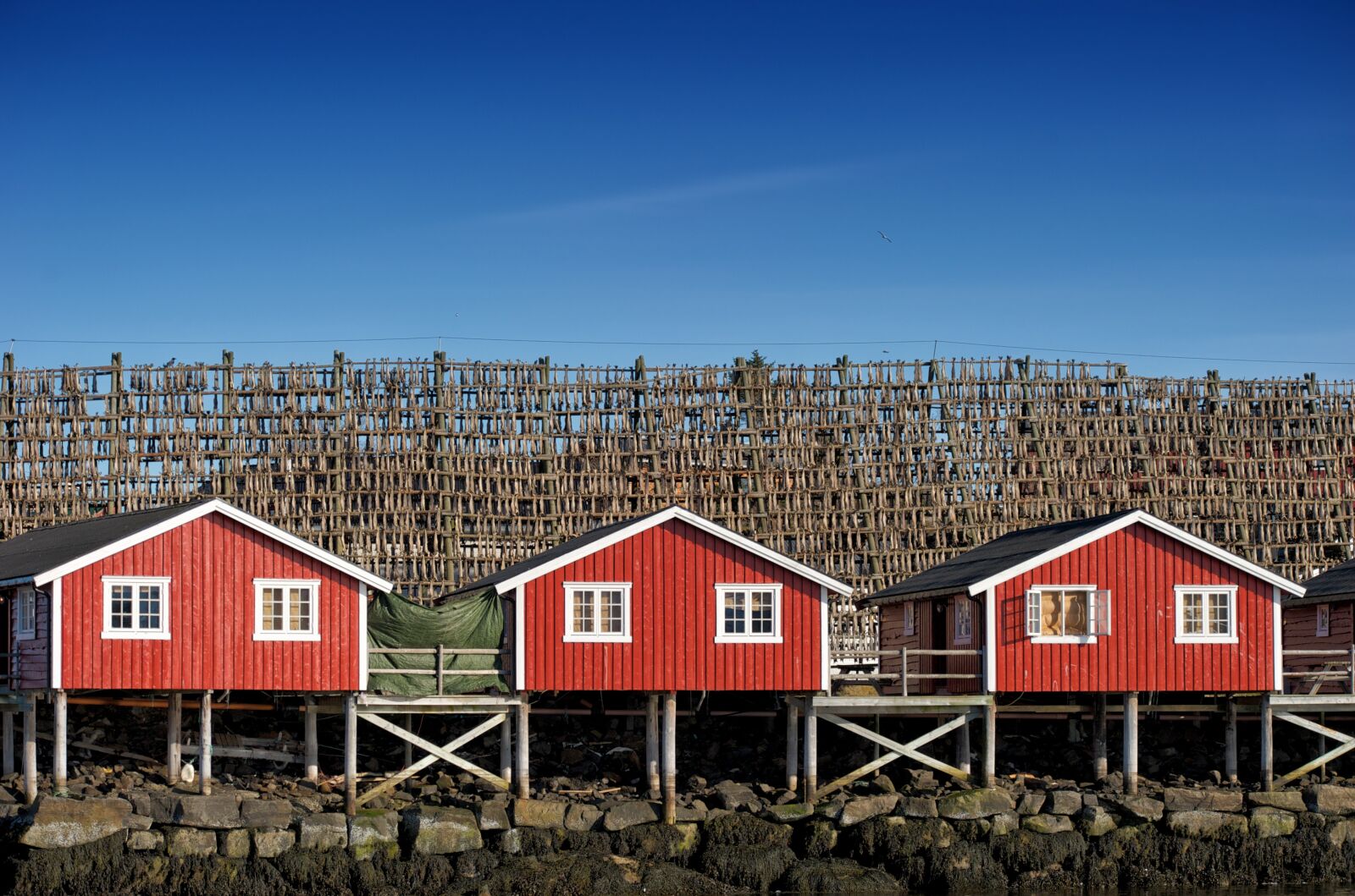 Nikon D3S sample photo. Norway, svolvær, lofoten photography
