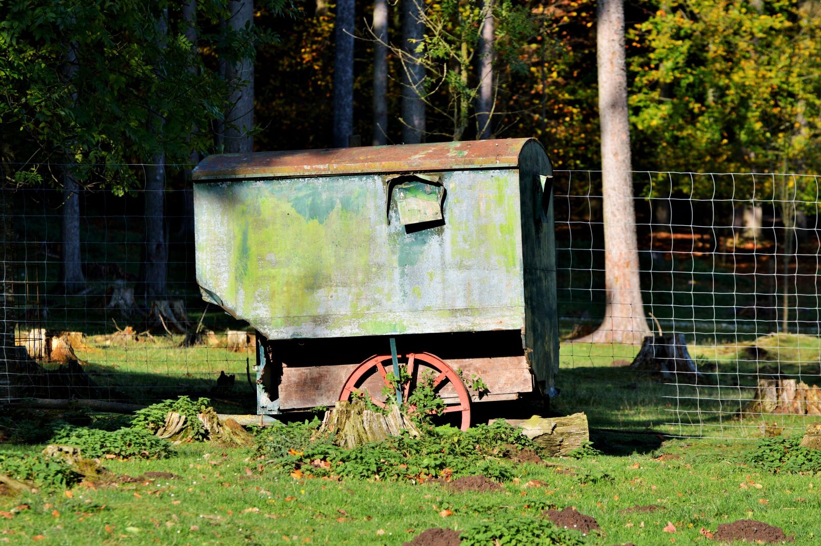 Nikon D3200 sample photo. Schaefer carts, sch fer photography