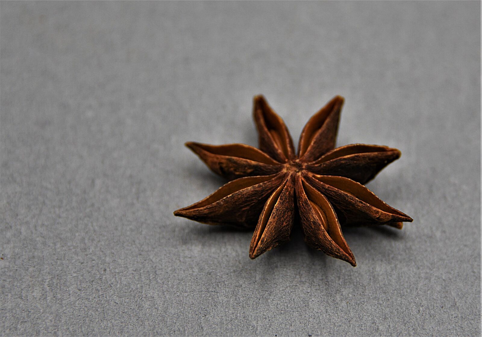 Nikon D750 sample photo. Star anise, spice, food photography