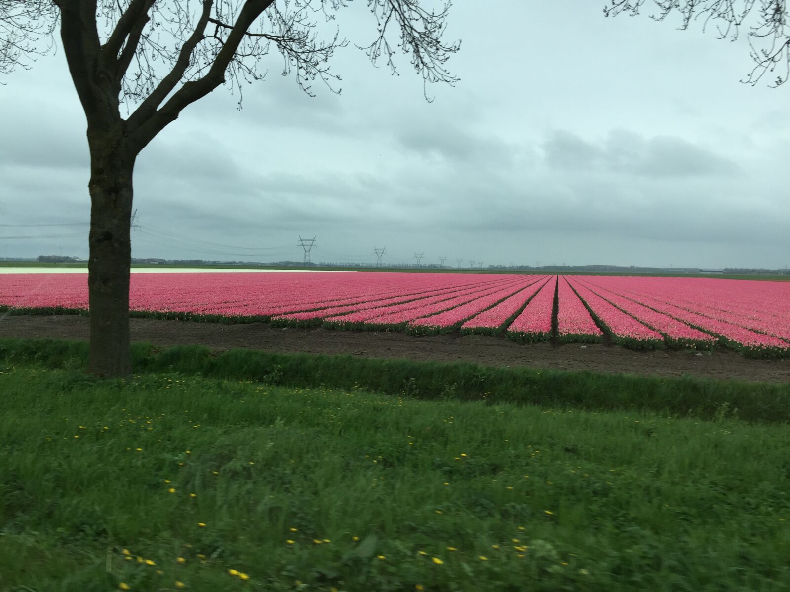 Apple iPhone 6 sample photo. Flevoland, lelystad, dronten photography