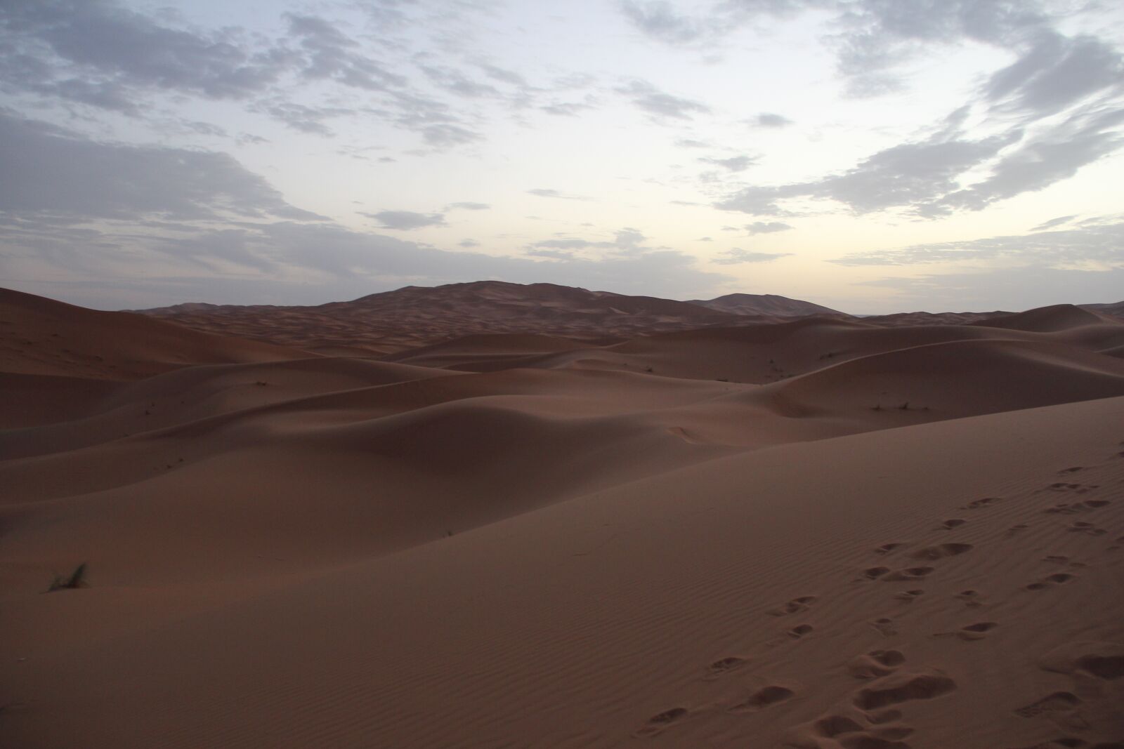 Canon EF-S 18-135mm F3.5-5.6 IS sample photo. Desert, sahara, moroccan photography