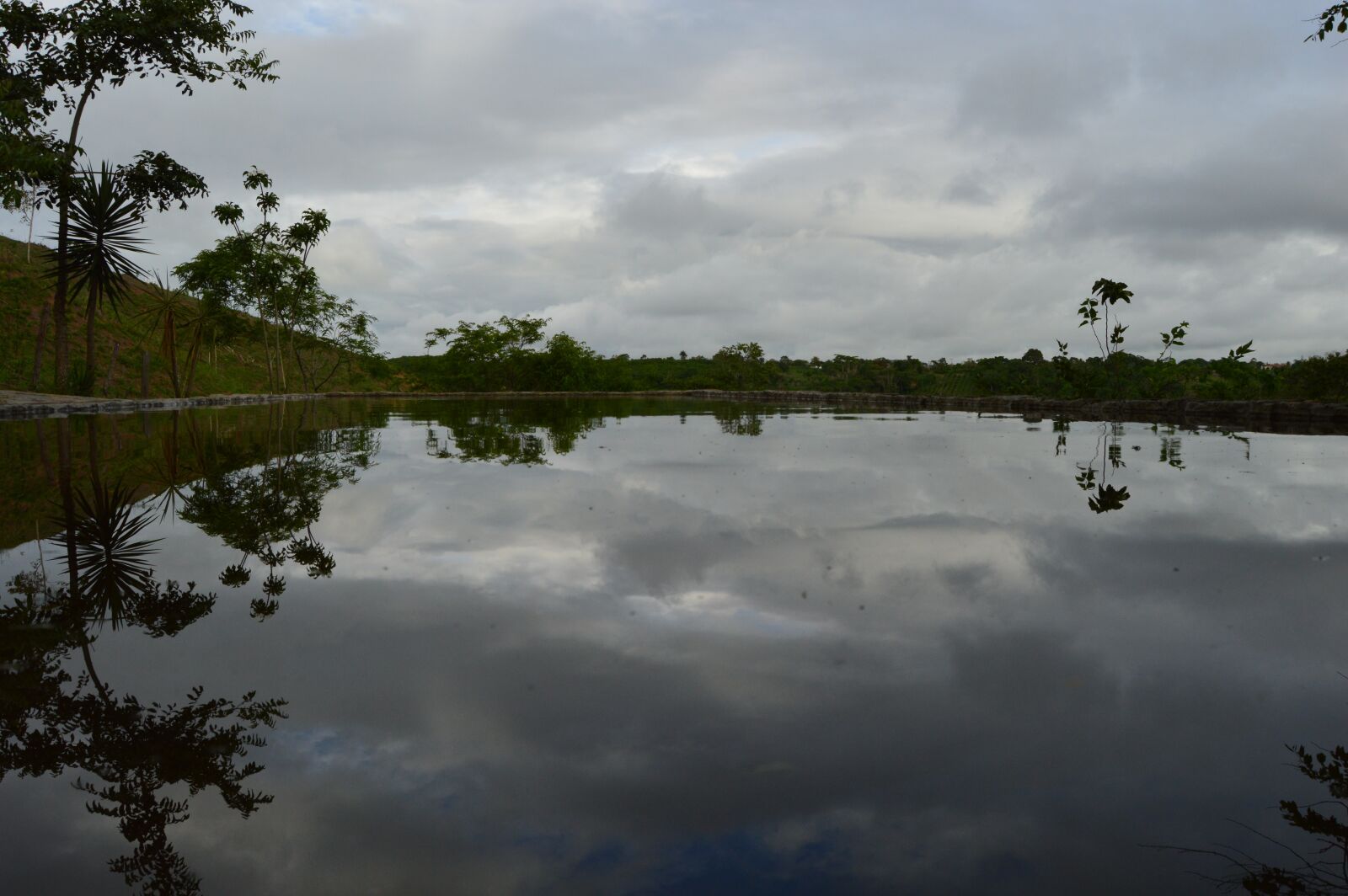 Nikon D3200 sample photo. Nature, brazil, pool photography