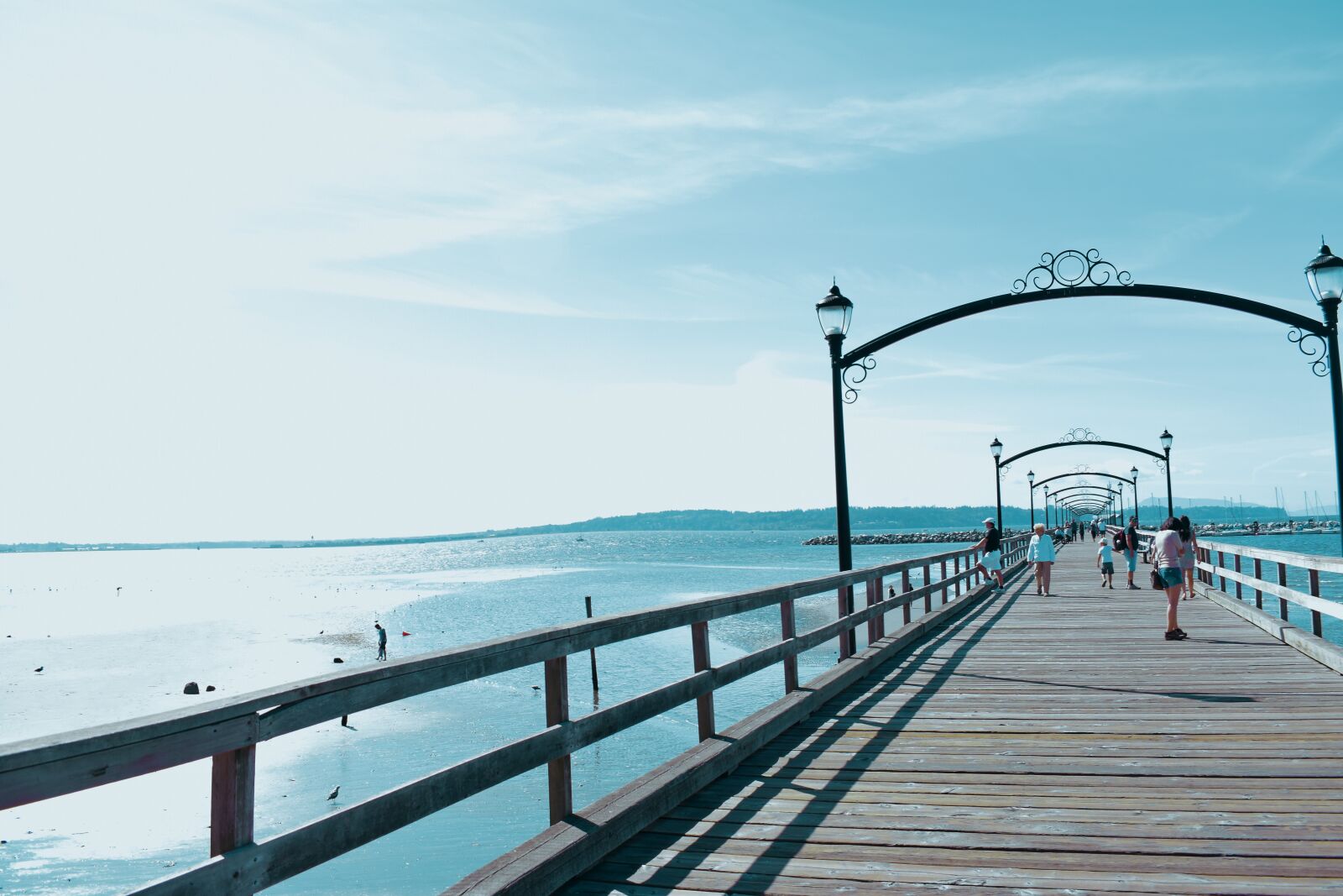 Nikon D3400 sample photo. White rock pier, vancouver photography