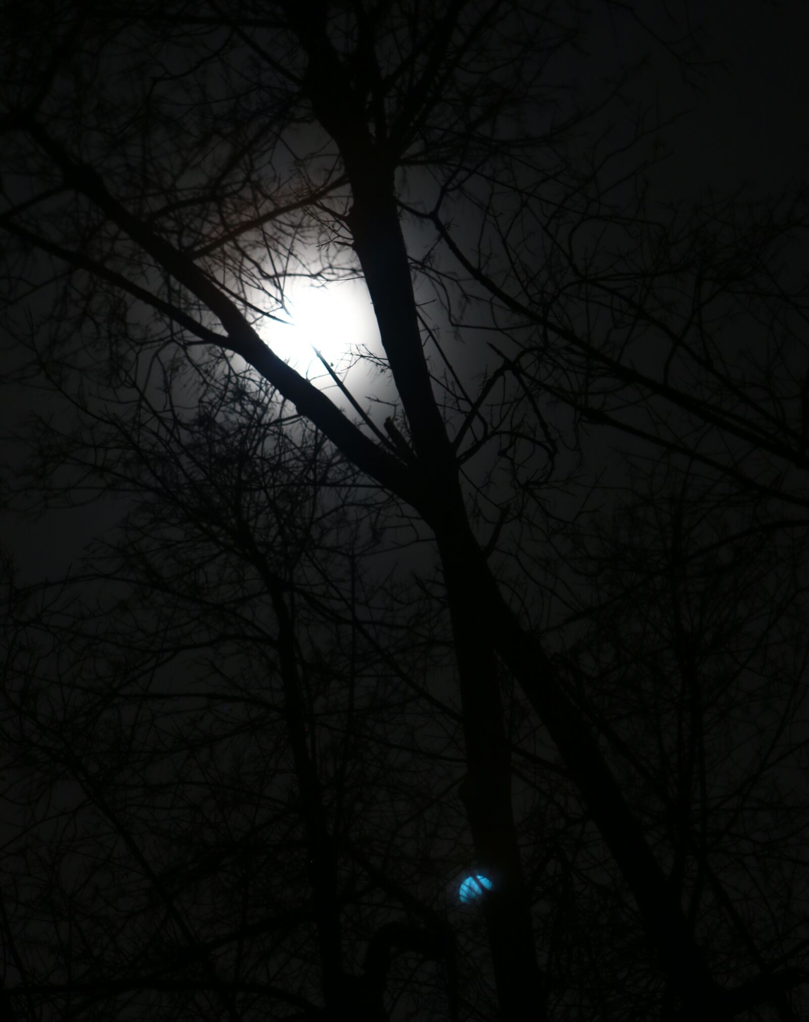 Canon EOS 70D + Canon EF 24-70mm F2.8L USM sample photo. Moon, moonlight, night photography