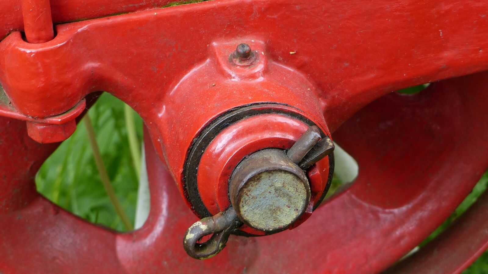 Panasonic Lumix DMC-FZ200 sample photo. Close up, background, nature photography