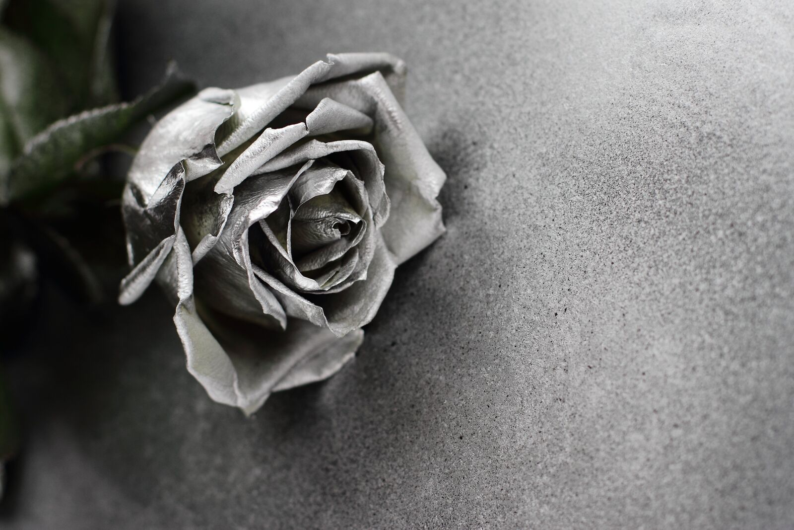 Canon EOS 7D + Canon EF 50mm F1.4 USM sample photo. Alive, art, background photography