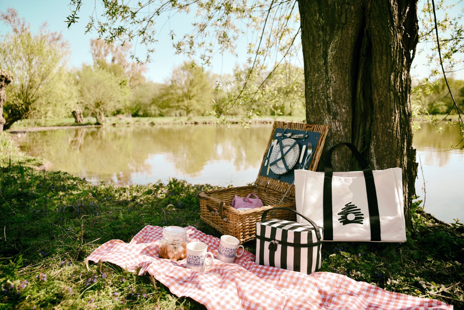 Nikon D810 sample photo. Picnic, outing, nature photography