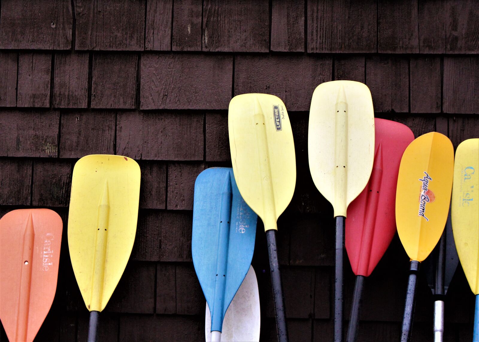 Canon EOS 700D (EOS Rebel T5i / EOS Kiss X7i) sample photo. Paddle, summer camp, camp photography