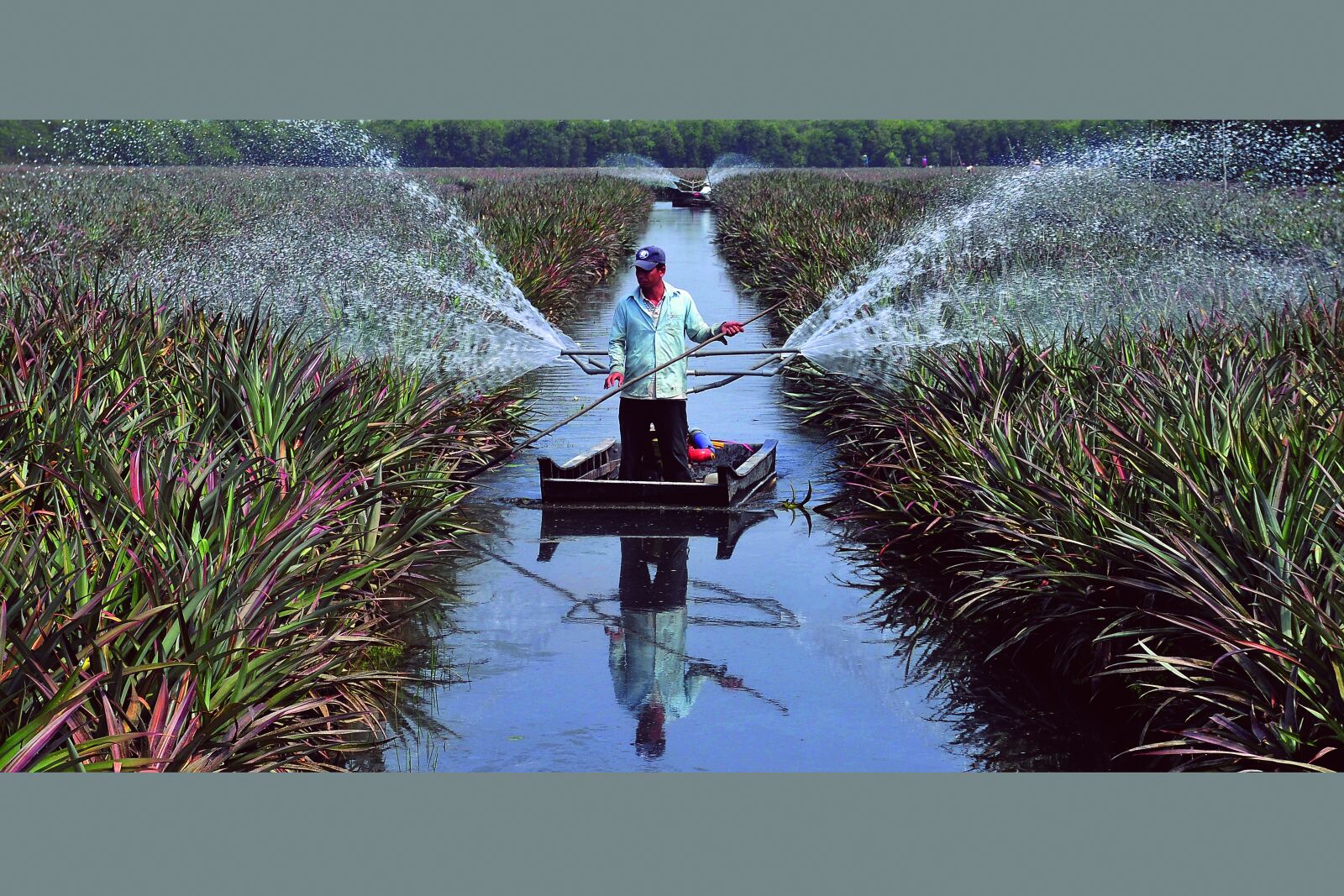 Nikon D300 sample photo. Watering, canoeing, work alone photography