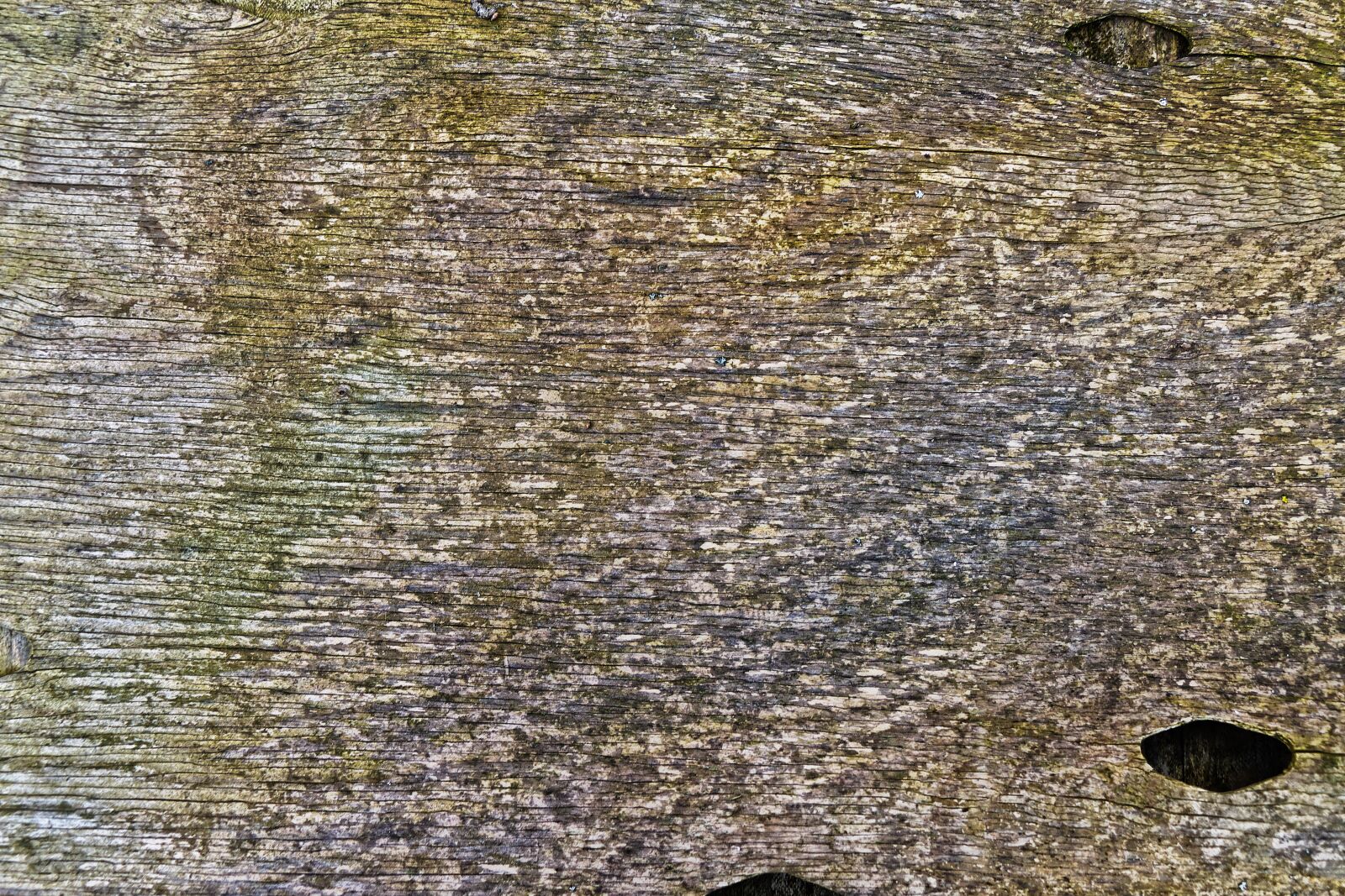 Panasonic Lumix DMC-FZ1000 sample photo. Woods, board, wooden board photography