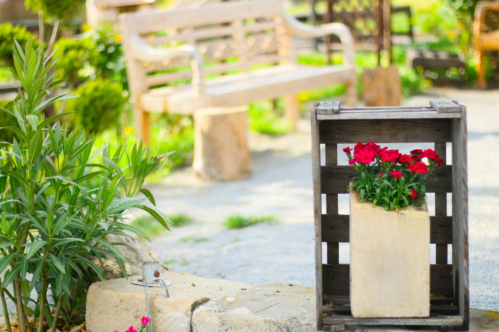 Canon EOS 70D + Canon EF 50mm F1.8 STM sample photo. Garden, bank, nature photography
