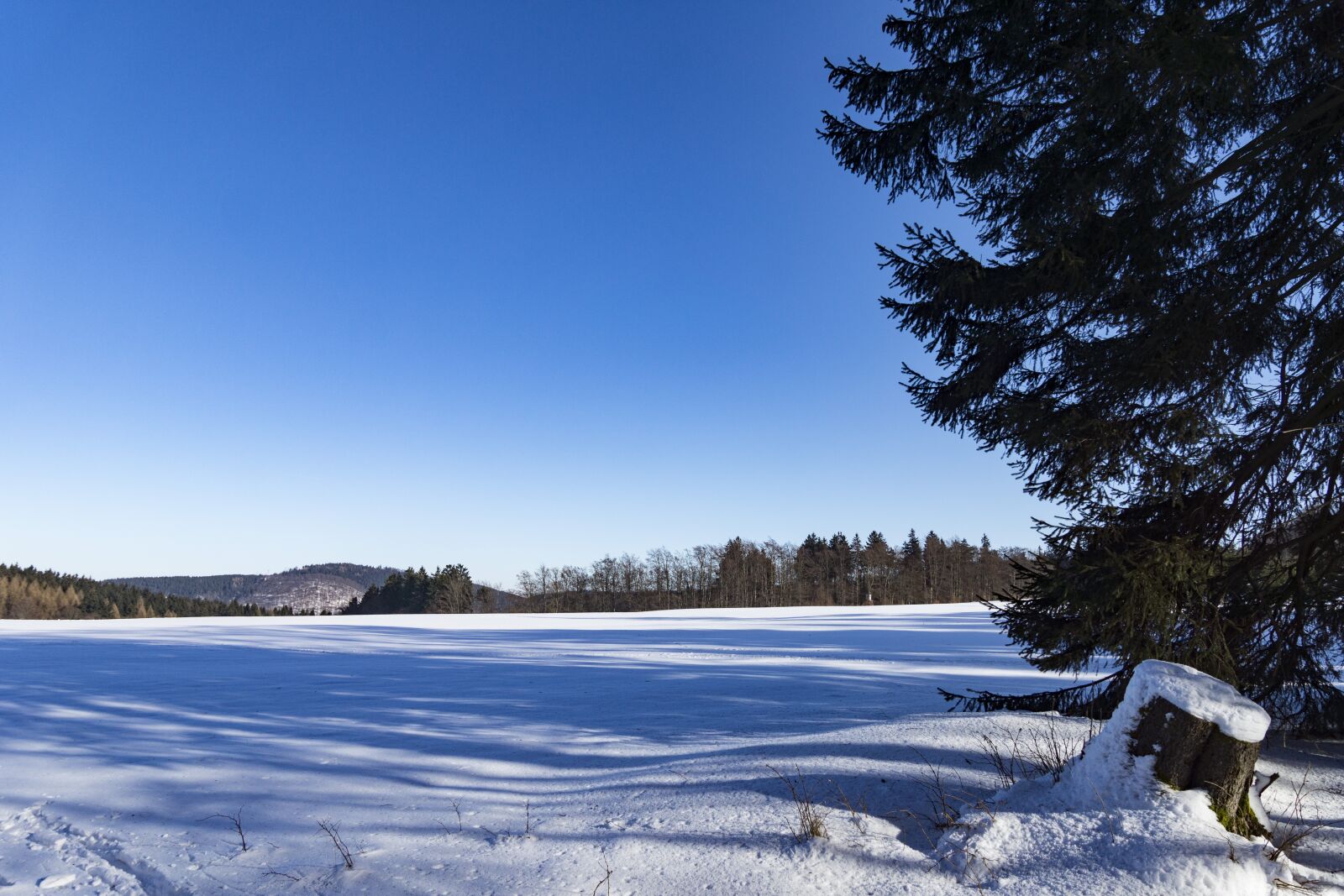 Sony SLT-A77 + Sony DT 16-50mm F2.8 SSM sample photo. Winter, ice, frost photography