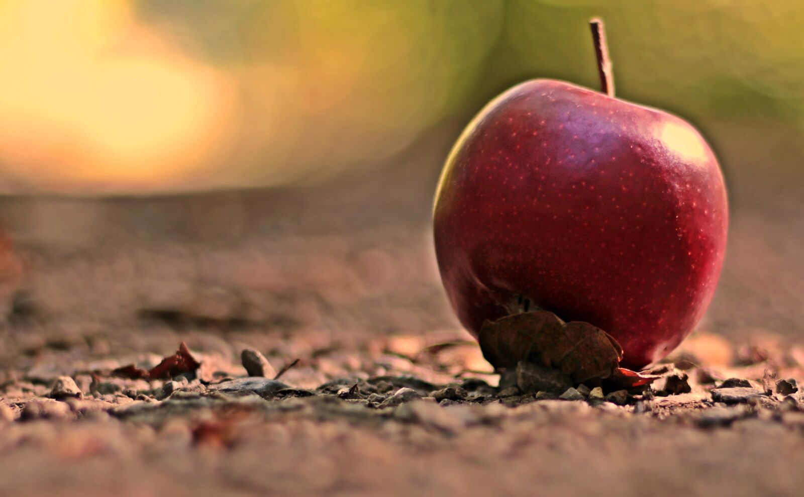 Canon EF 50mm F1.8 STM sample photo. Apple, fruit, red photography