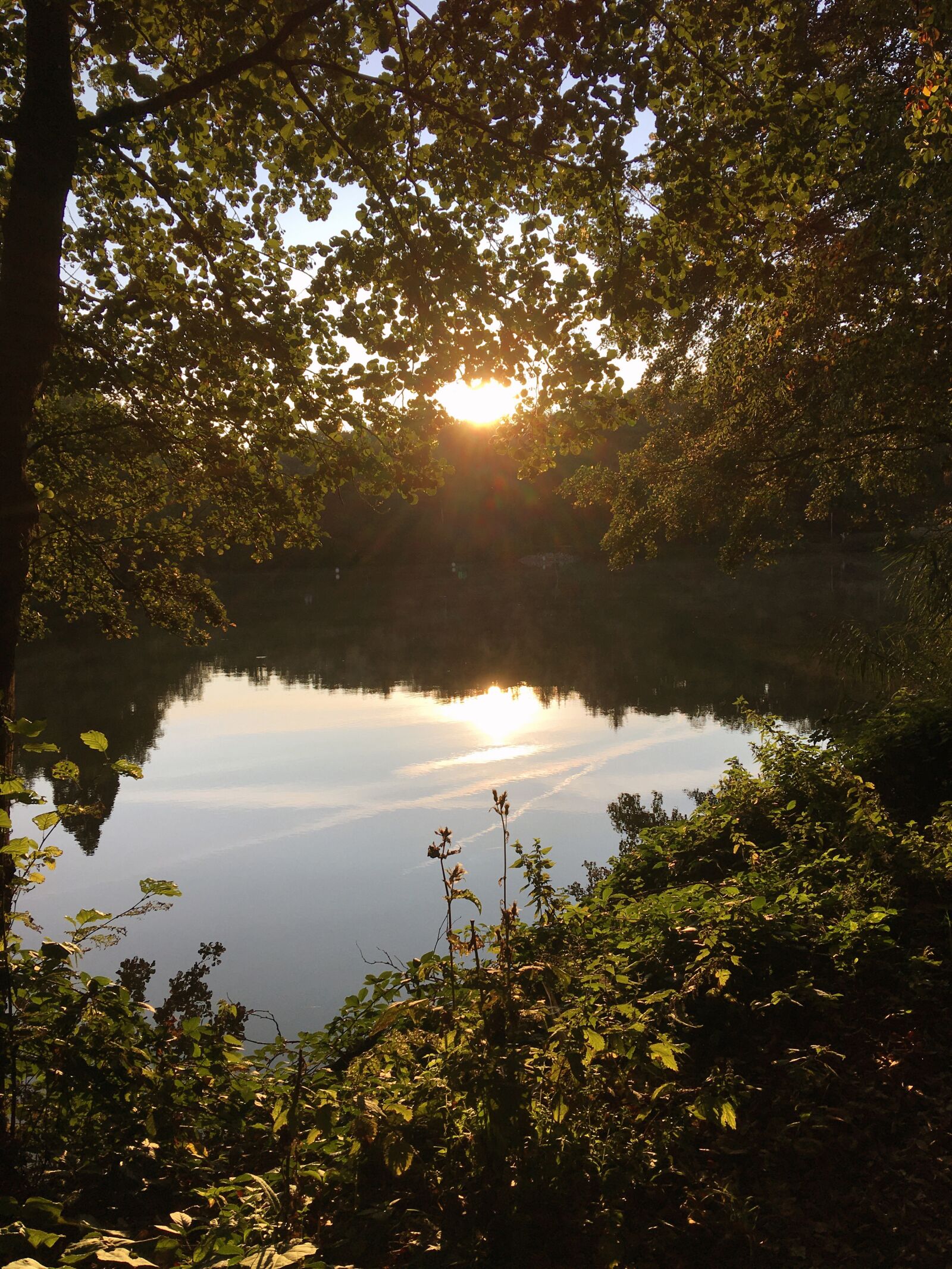 Apple iPhone SE (1st generation) sample photo. Lake, nature, sunset photography