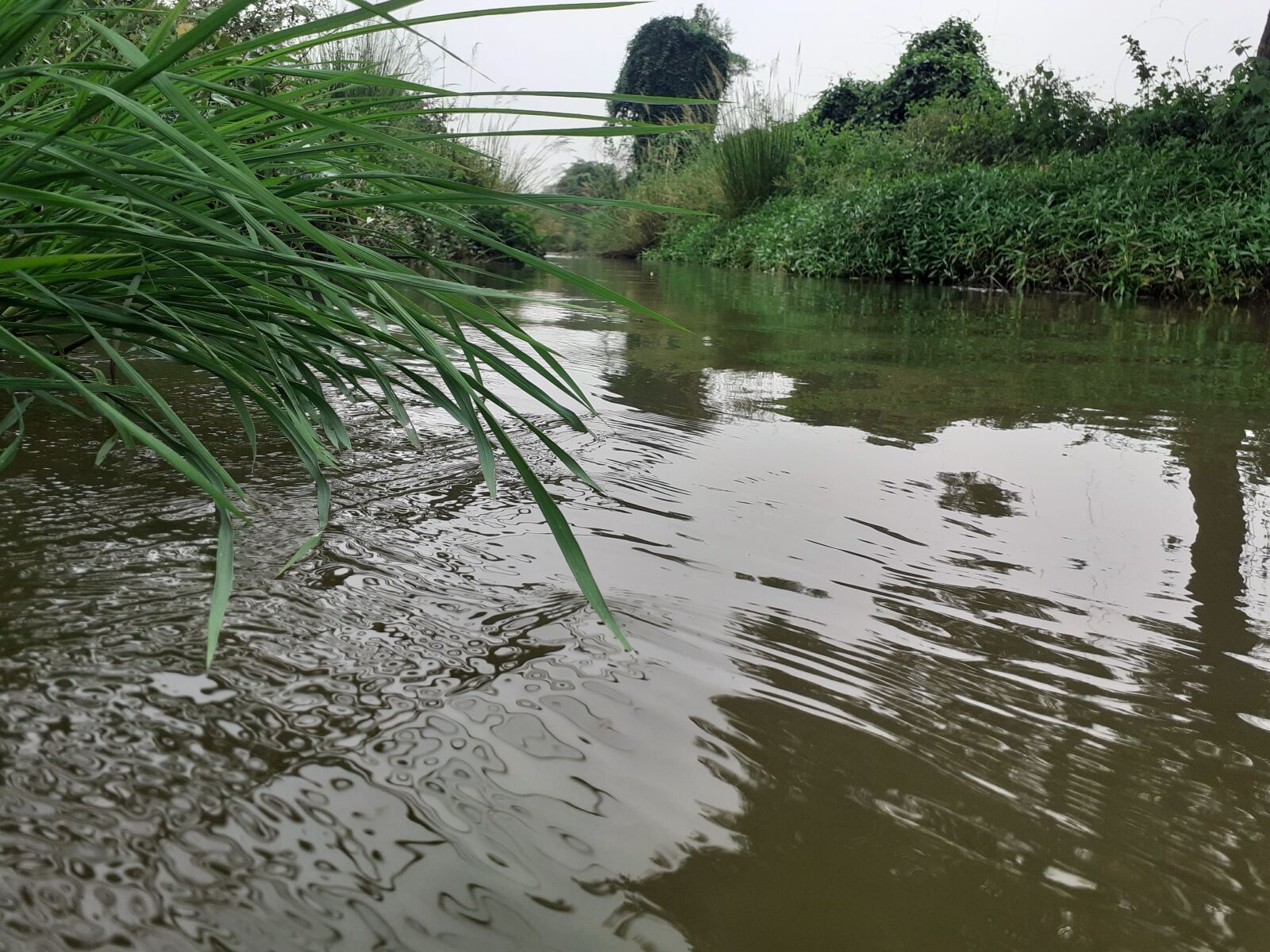 Samsung SM-M205F sample photo. Funny, nature, water photography