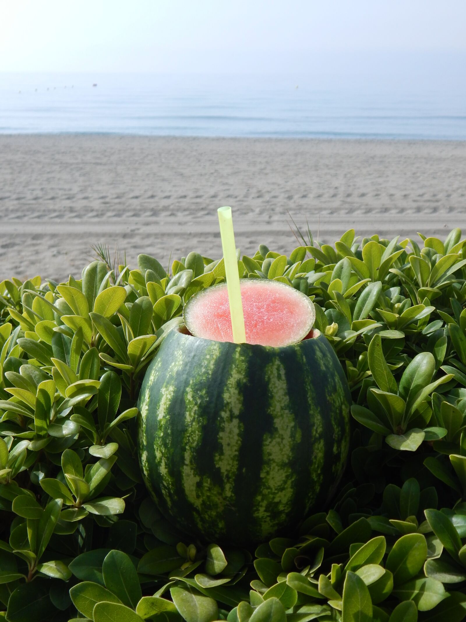 Nikon Coolpix L830 sample photo. Watermelon, beach, summer photography