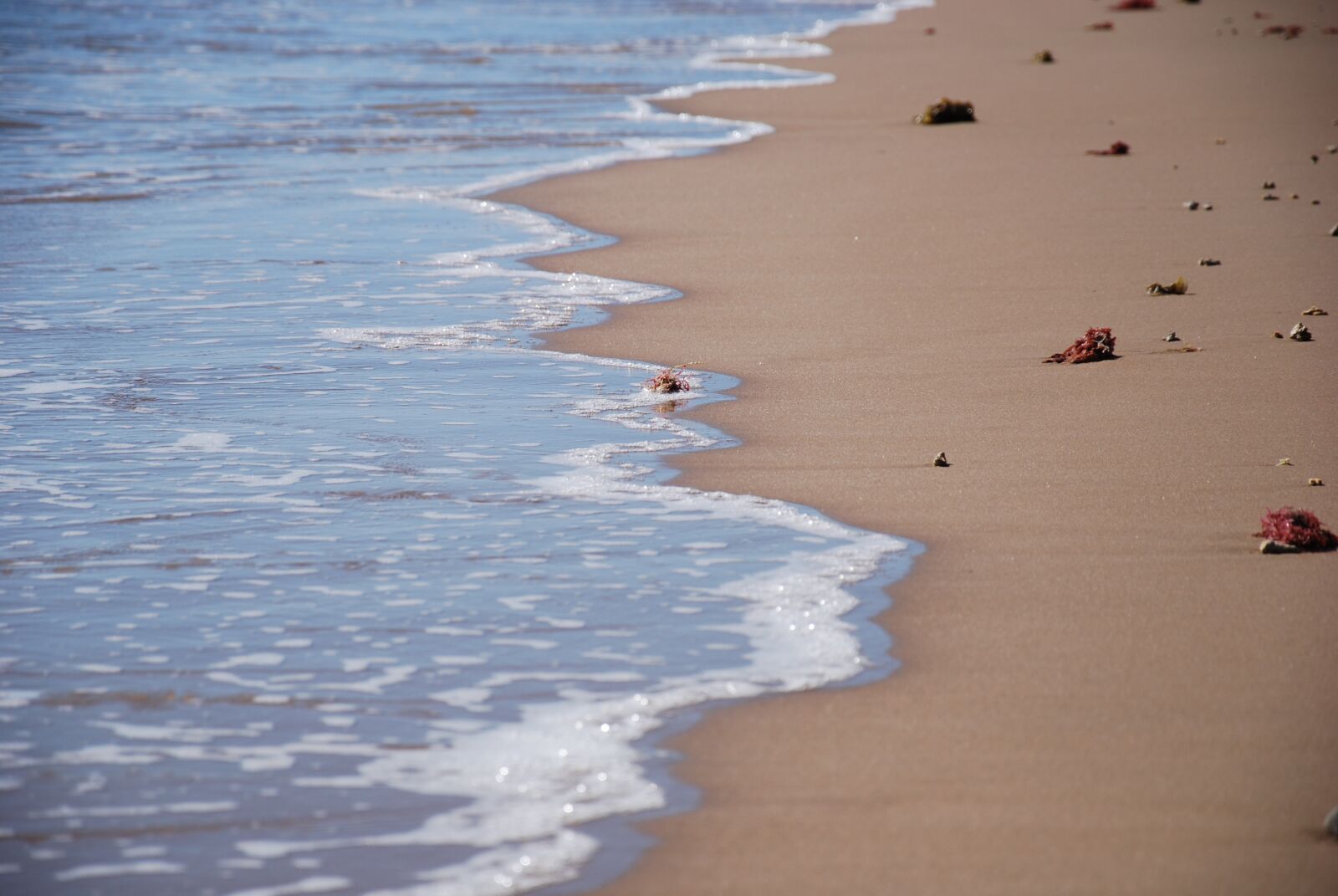 Nikon D60 sample photo. Foam, ocean, water photography