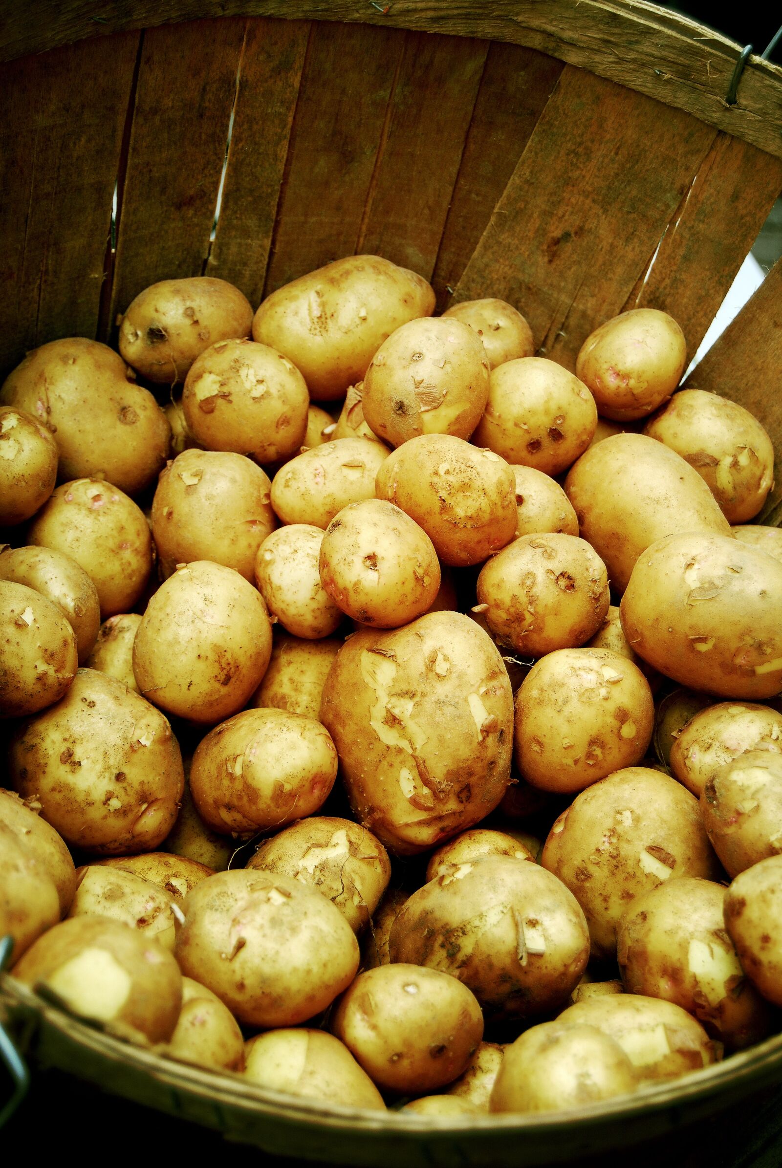 Nikon D40X sample photo. Potatoes, vegetable, potato photography