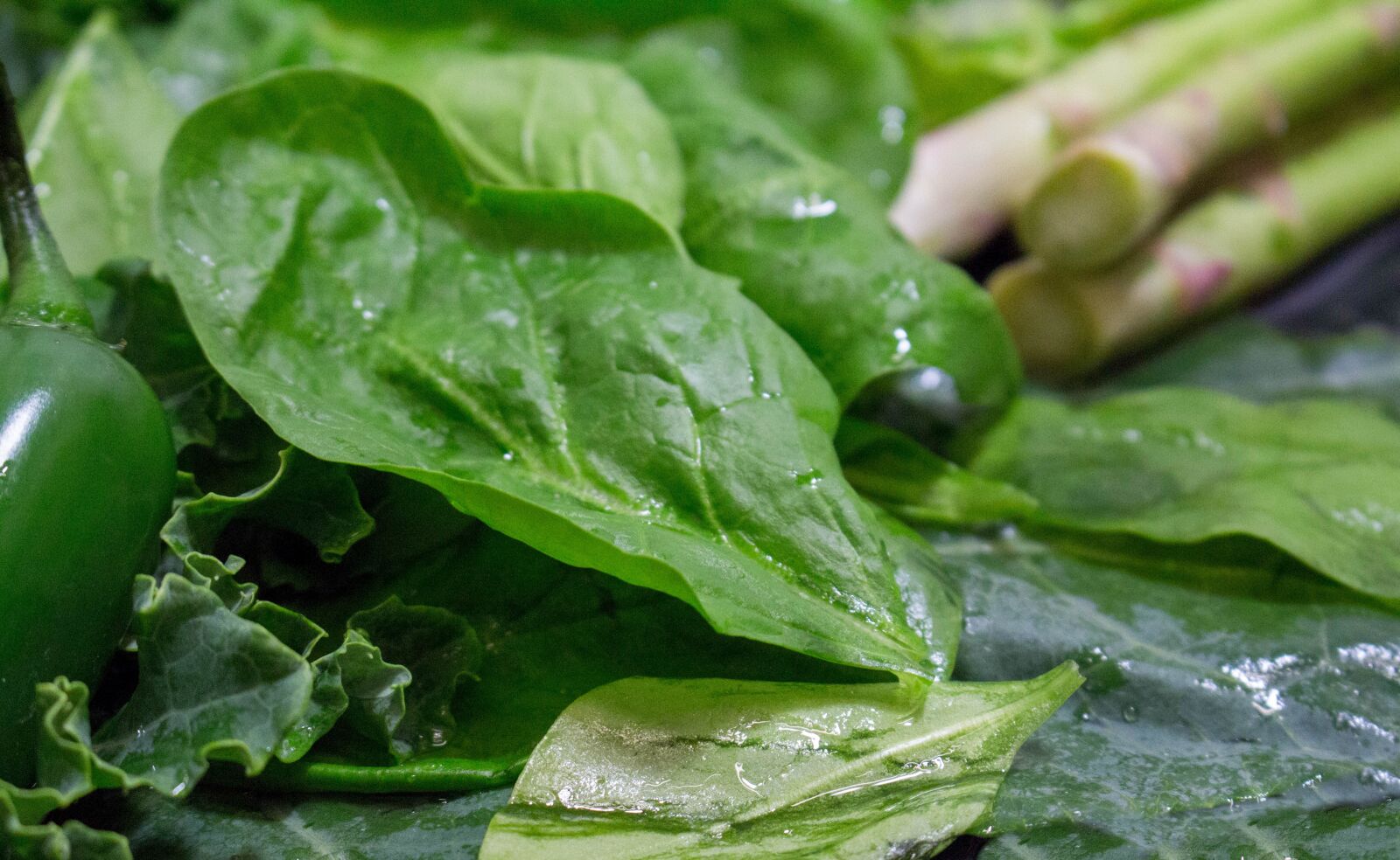 Canon EOS 700D (EOS Rebel T5i / EOS Kiss X7i) sample photo. Food, vegetable, leaf photography