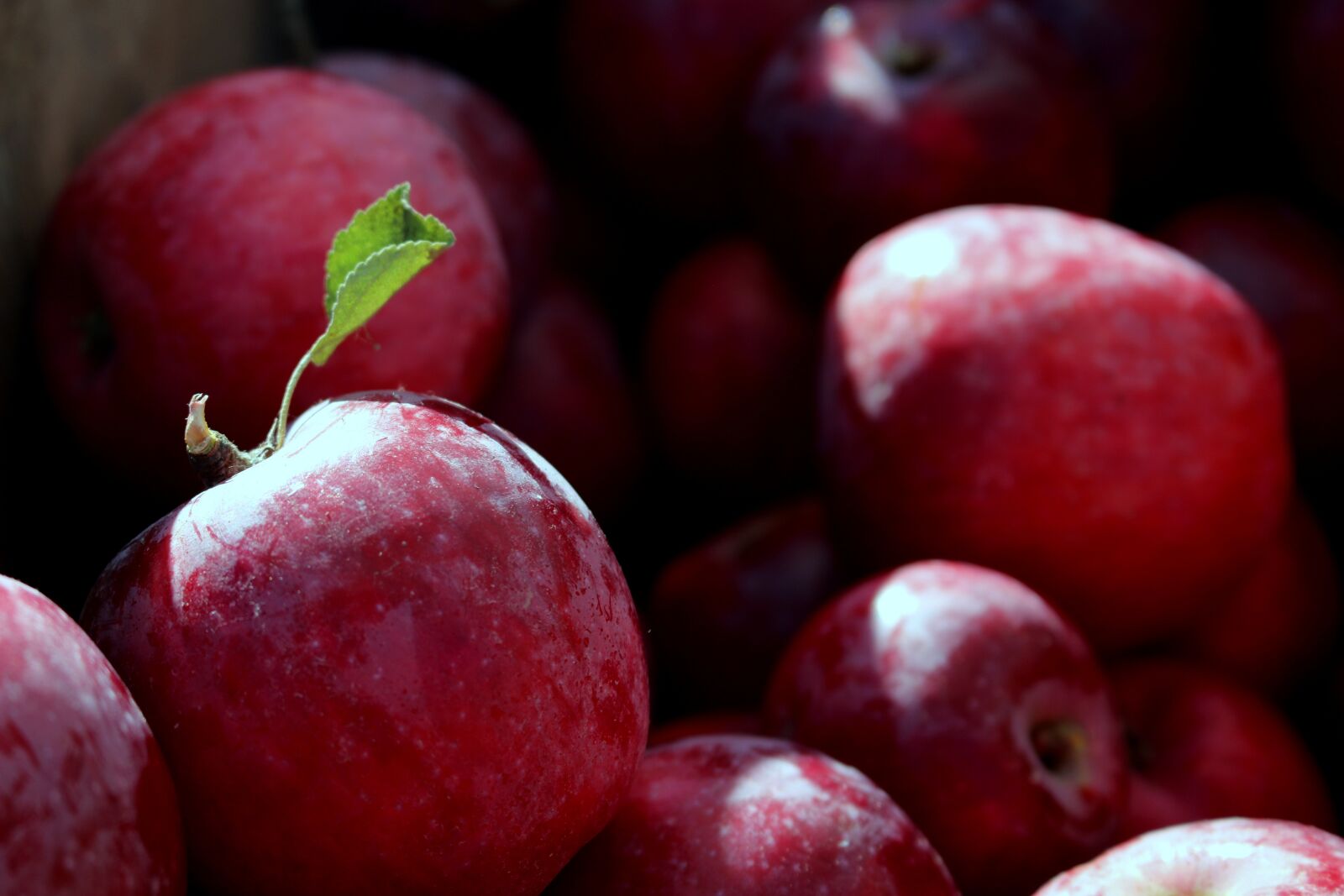 Canon EOS 70D sample photo. Apples, red apples, fruit photography