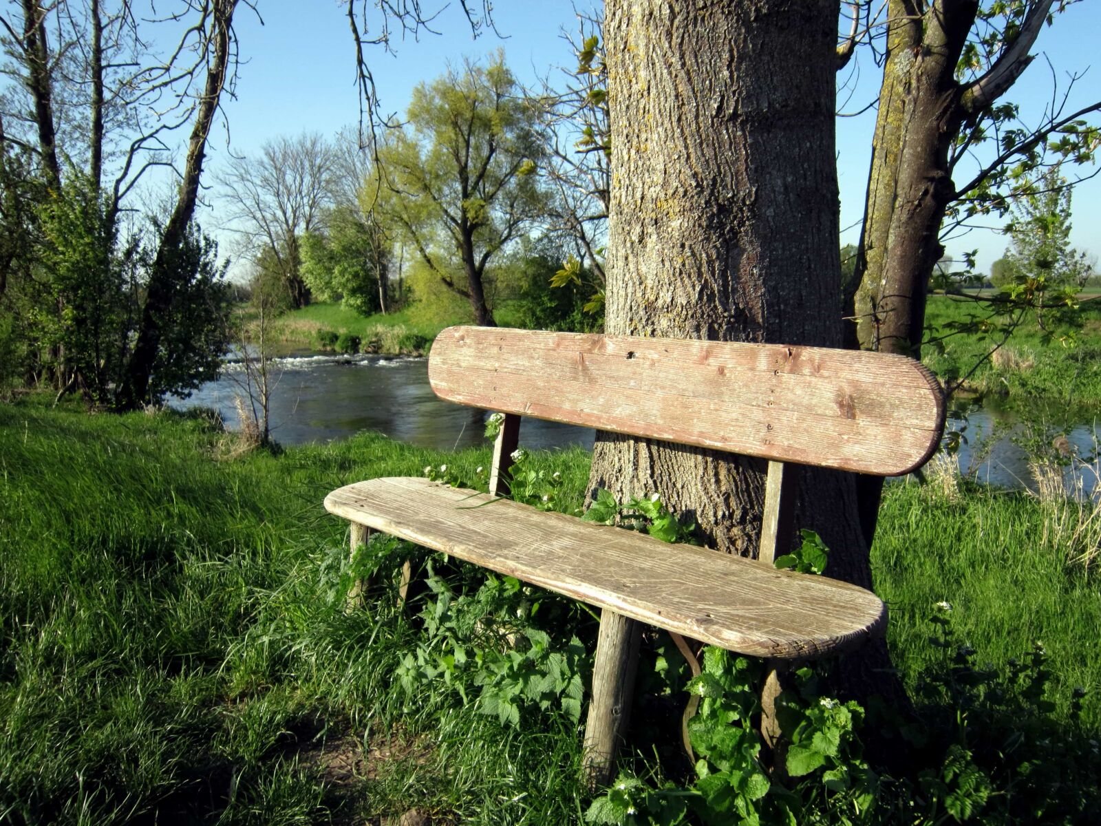 Canon PowerShot A3200 IS sample photo. Bench, nature, grass, summer photography