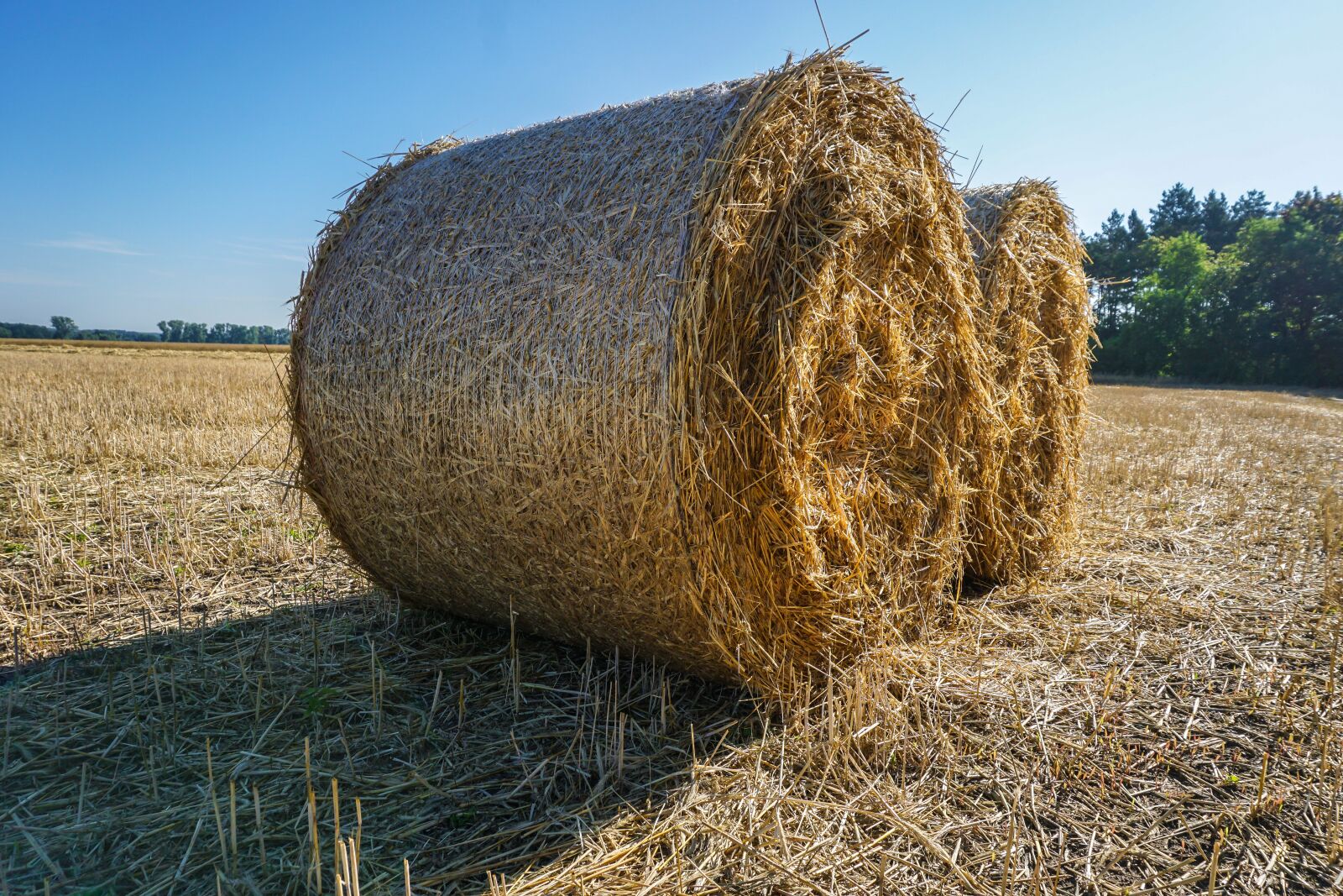 Sony a6000 sample photo. Straw bales, straw, harvest photography