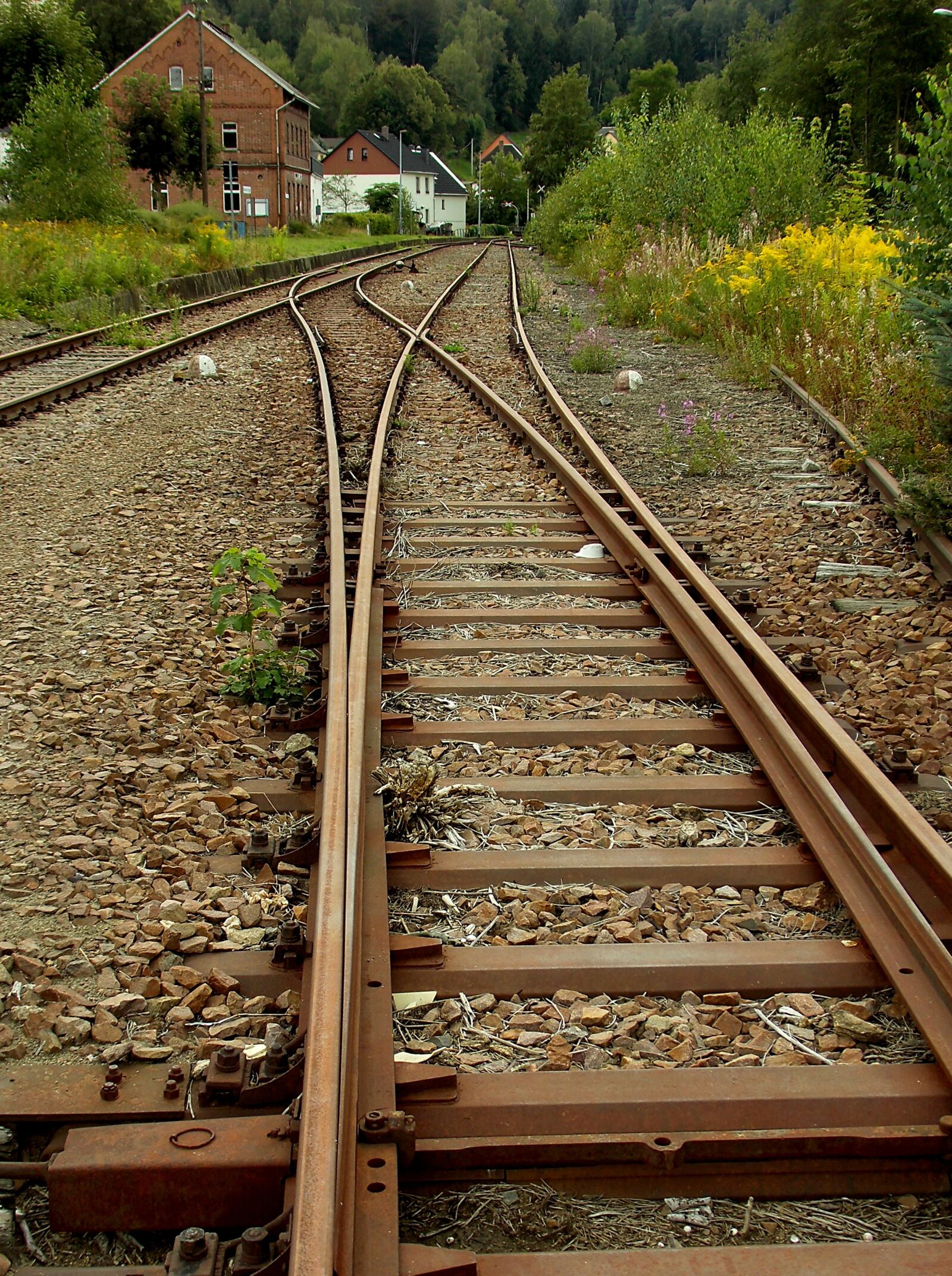 MEDION MD86824 sample photo. Soft, track, rails photography