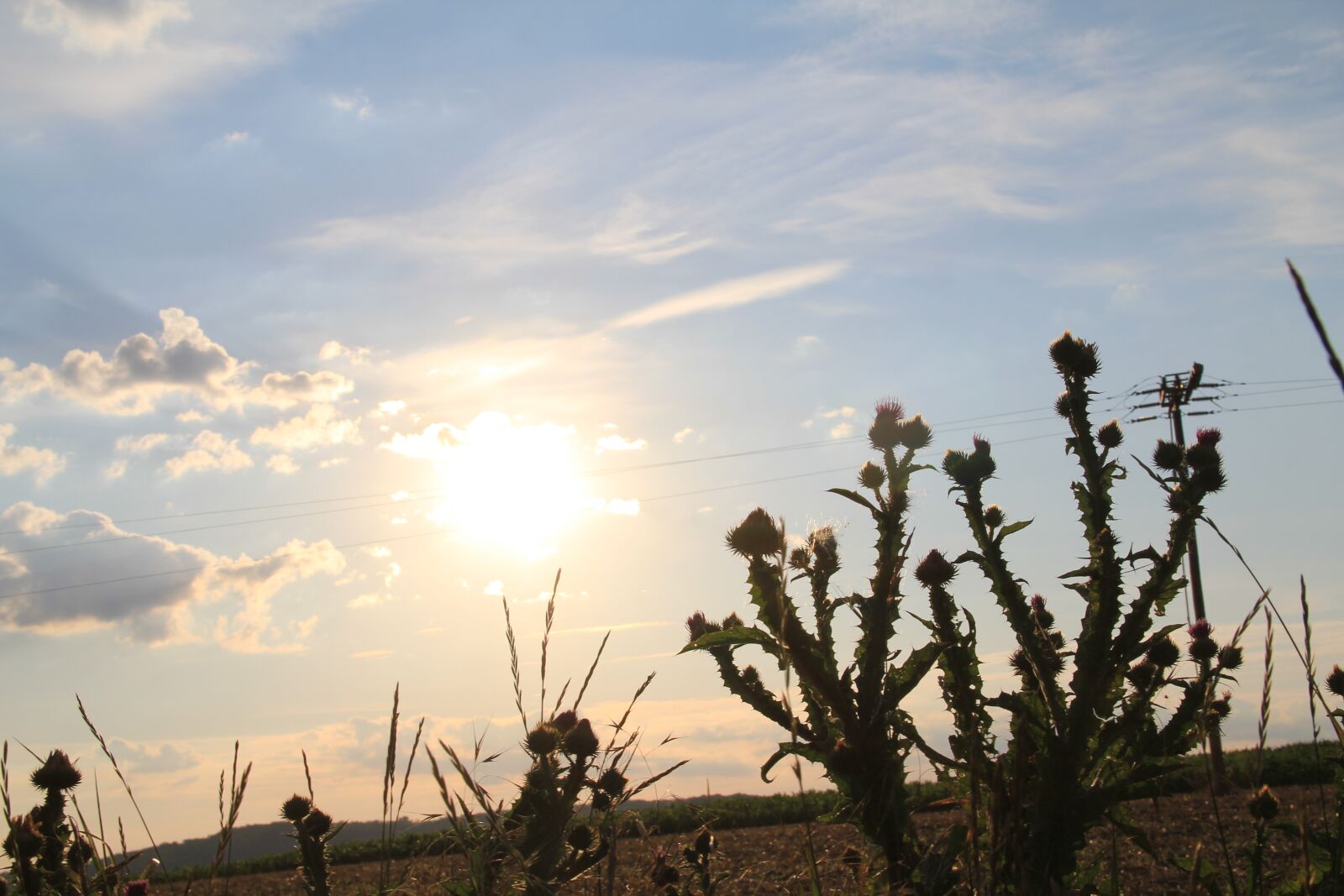 Canon EOS 550D (EOS Rebel T2i / EOS Kiss X4) sample photo. Summer, sun, sky photography