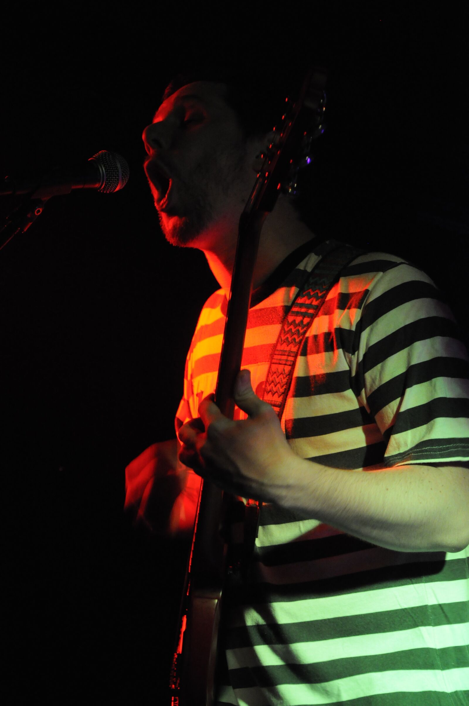Nikon D90 sample photo. Singer, concert, musician photography