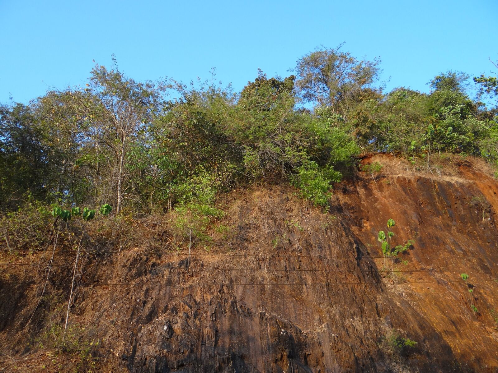 Sony DSC-HX200V sample photo. Cliff, trees, sky photography