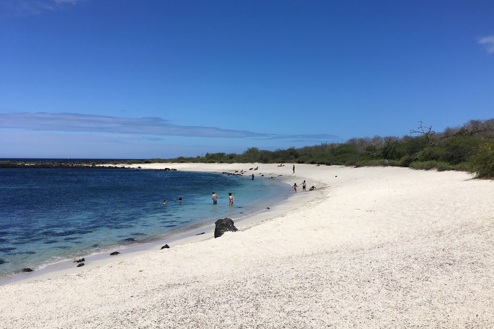 iPhone SE back camera 4.15mm f/2.2 sample photo. Playa punta carola, galapagos photography