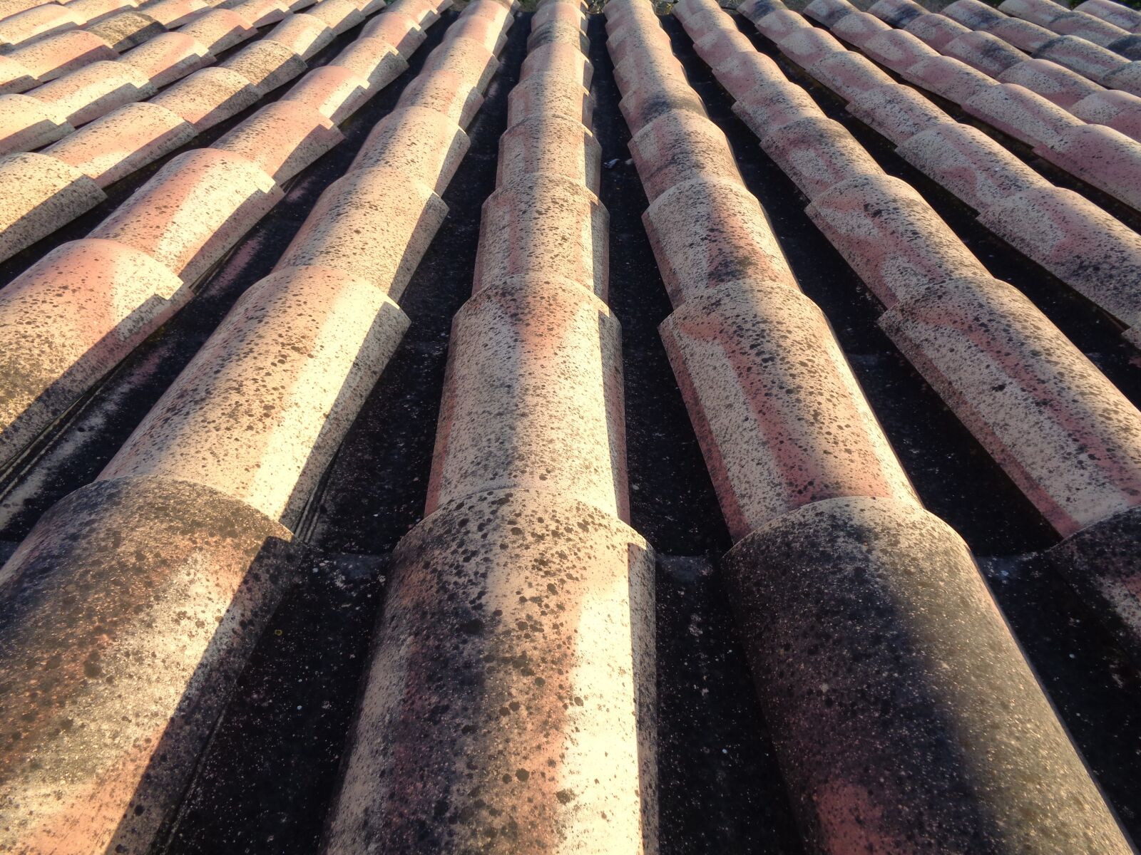 Sony Cyber-shot DSC-W830 sample photo. Texas, roof, construction photography