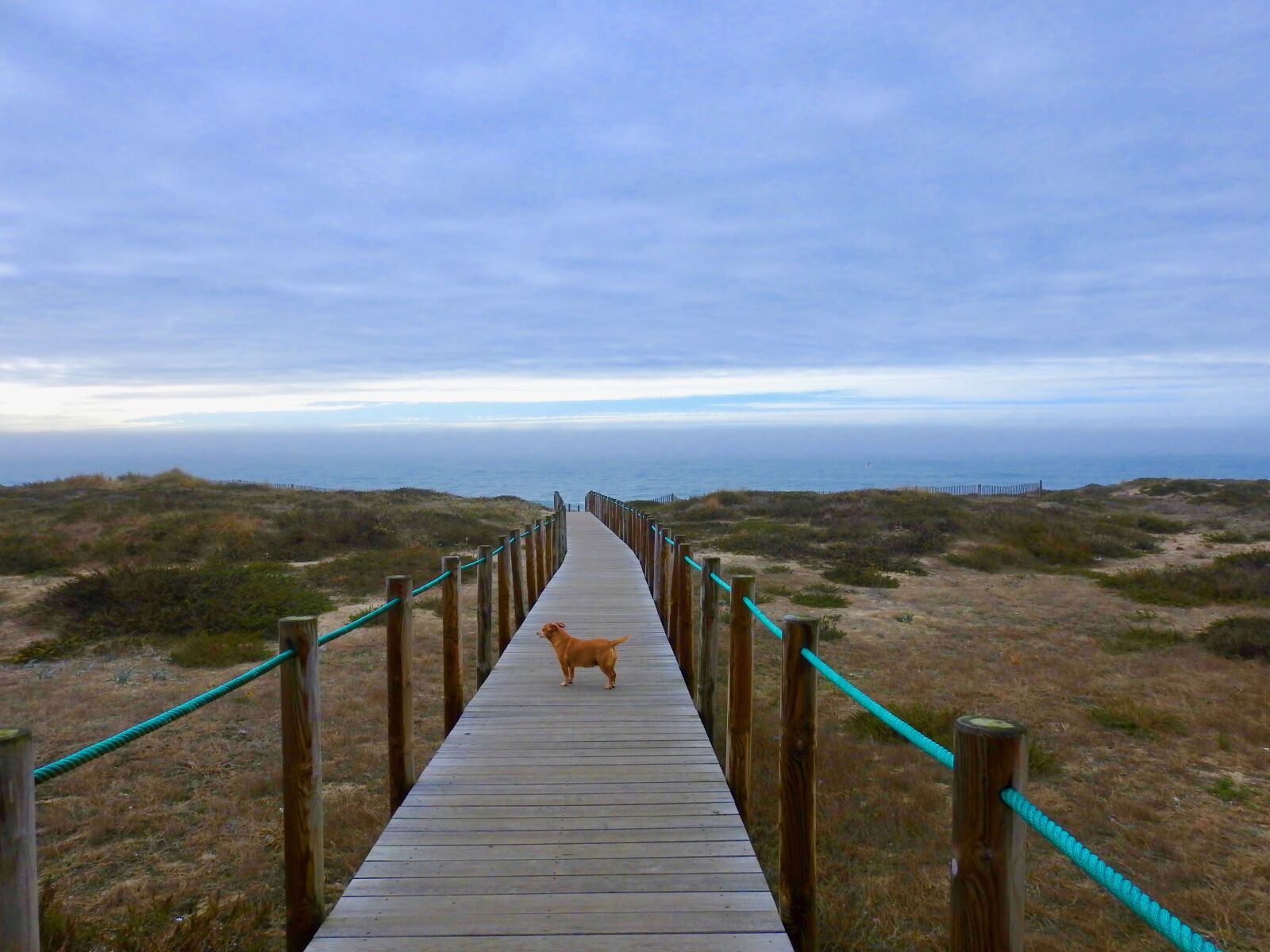 Nikon Coolpix P900 sample photo. Esposende, portugal, beach photography