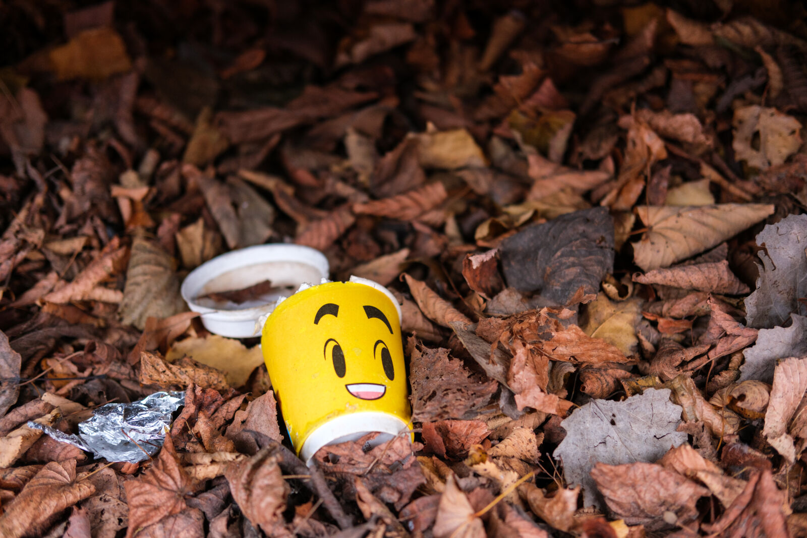 Fujifilm X-T5 sample photo. Littering cover photography