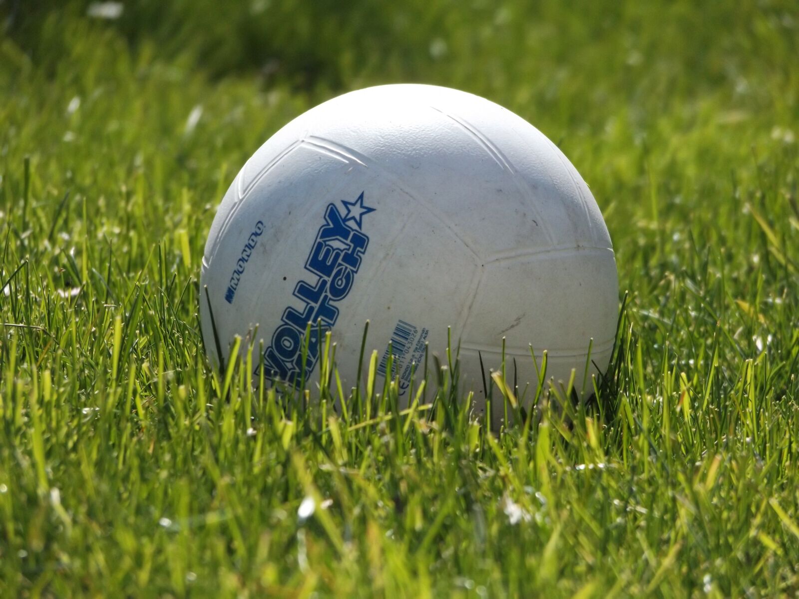 Fujifilm FinePix S8600 sample photo. Ball, round, grass photography