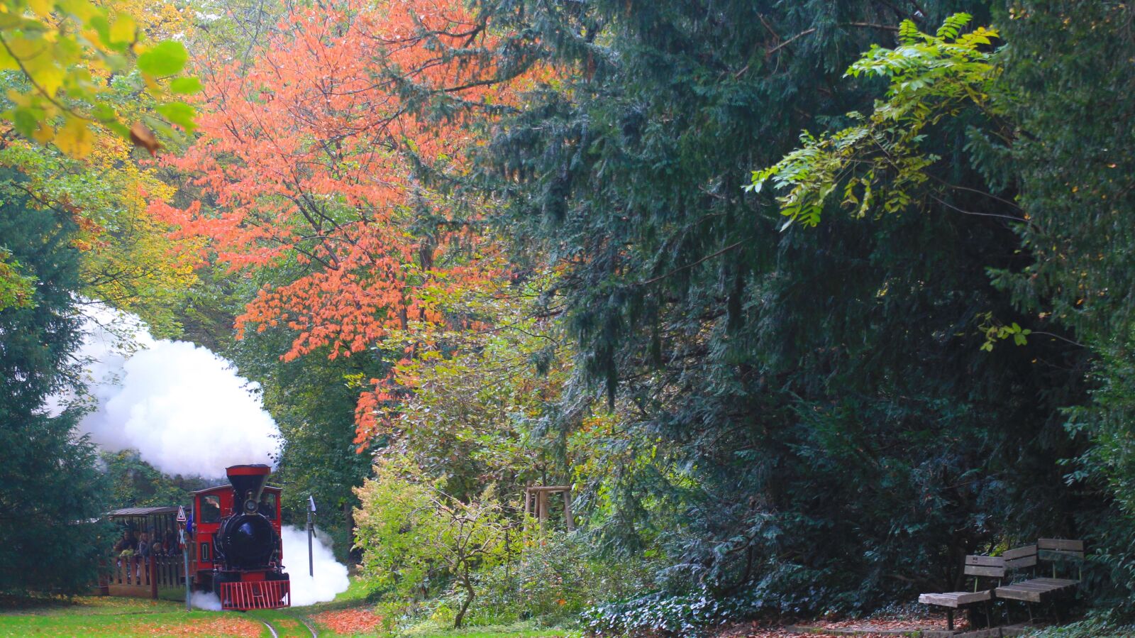 Canon EOS 700D (EOS Rebel T5i / EOS Kiss X7i) sample photo. Autumn, steam locomotive, railway photography