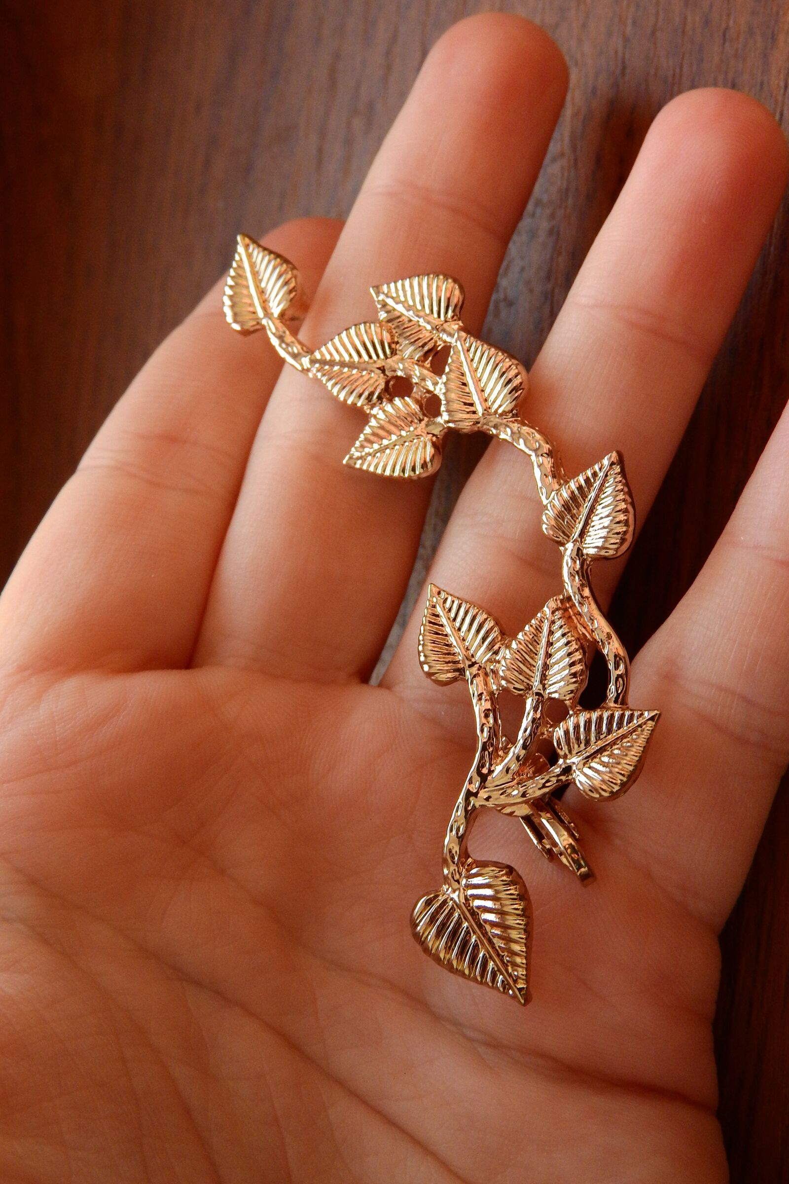 Nikon Coolpix P610 sample photo. The golden jewel in photography
