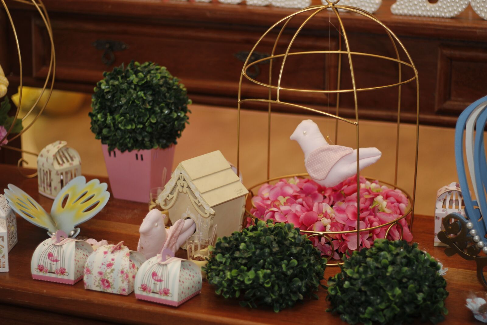 Canon EOS 700D (EOS Rebel T5i / EOS Kiss X7i) sample photo. Decoration, children's party, dove photography