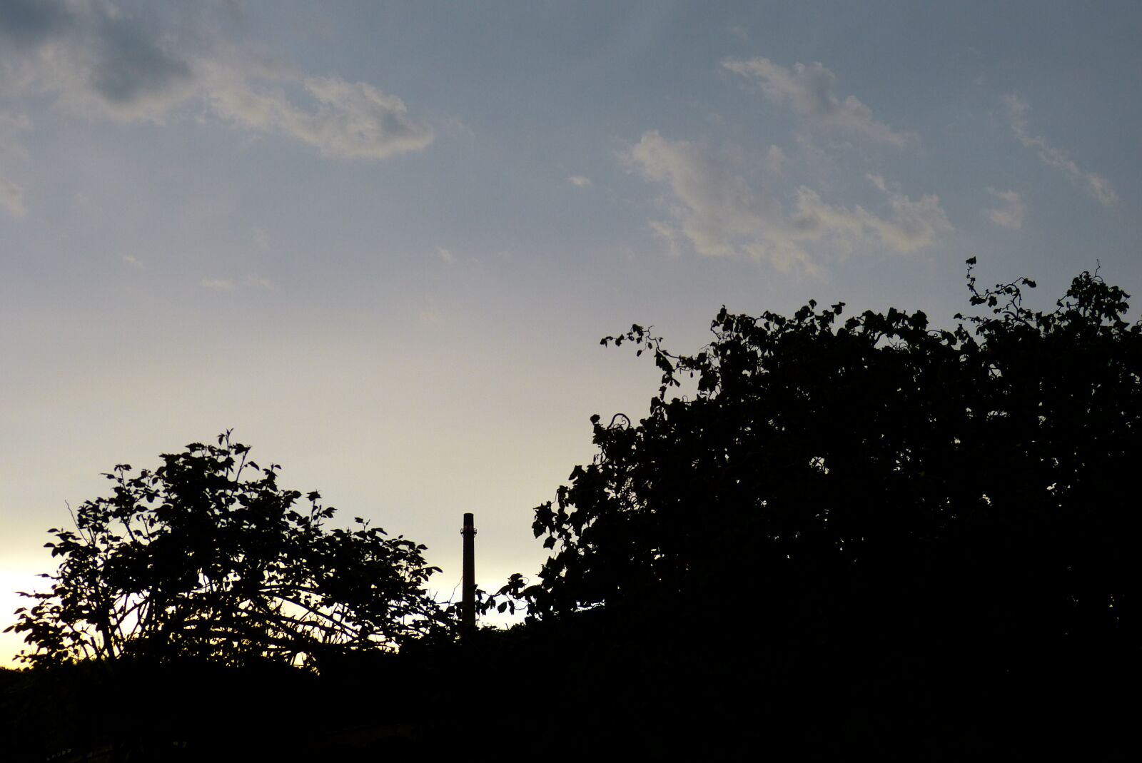 Panasonic Lumix DMC-FZ150 sample photo. Garden view, industry, trees photography