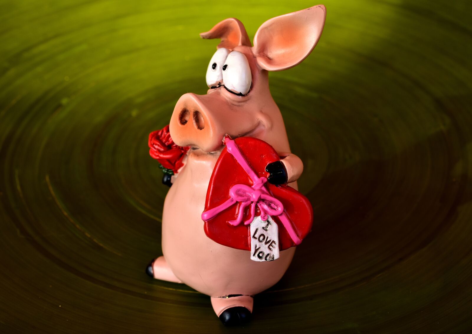 Nikon D7200 sample photo. Piglet, figure, love photography