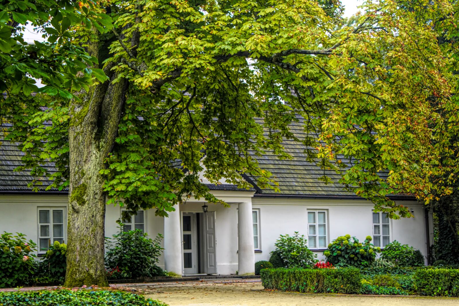 Sony SLT-A68 sample photo. Elazowa wola, fryderyk chopin photography