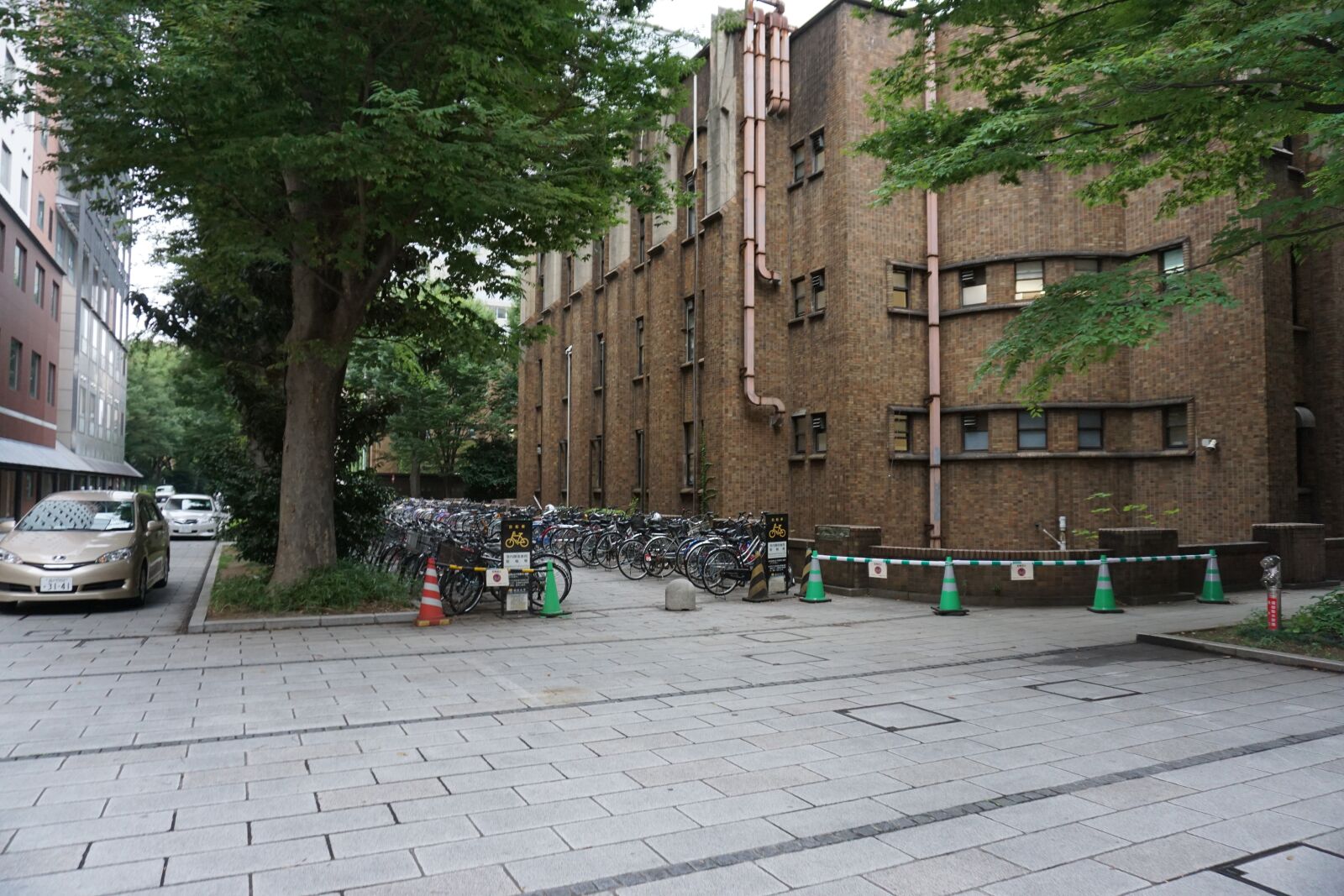 Sony a6000 sample photo. University of tokyo, tokyo photography