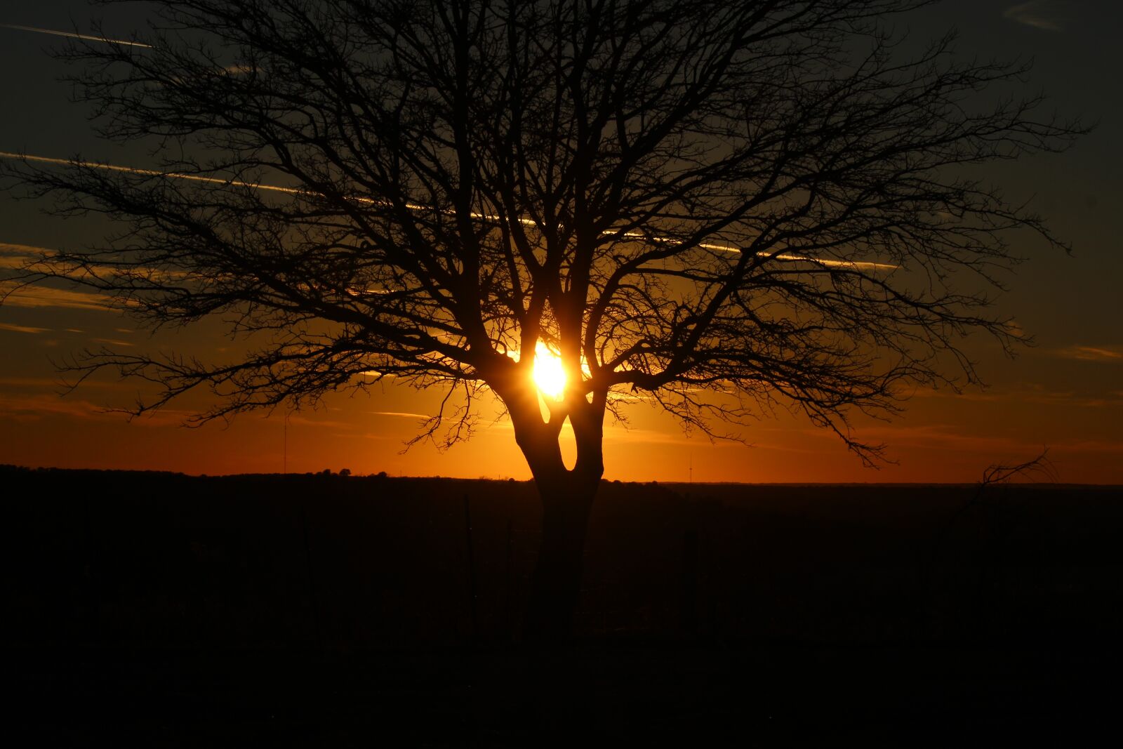 Canon EOS 600D (Rebel EOS T3i / EOS Kiss X5) sample photo. Sunset, dawn, dusk photography