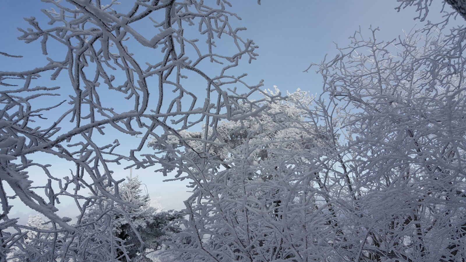 Samsung Galaxy Note5 sample photo. Korea, mountain, taebaeksan, winter photography
