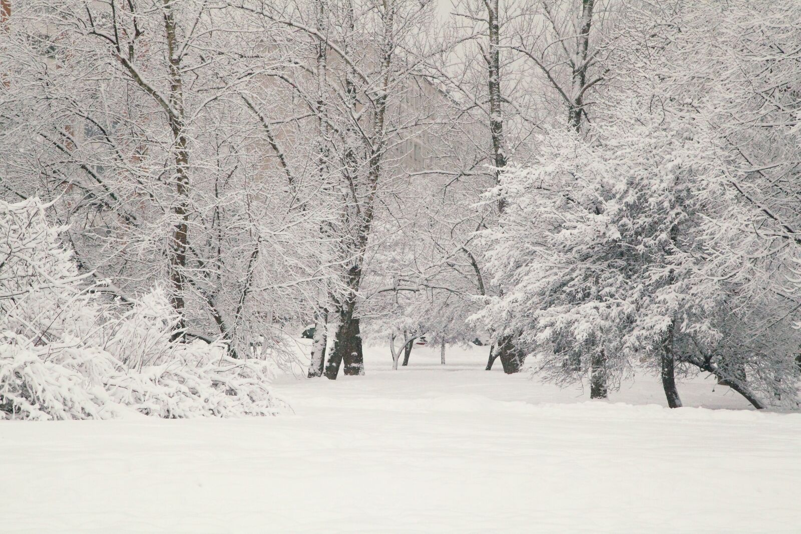 Canon EOS 5D Mark II sample photo. Russian winter, white snow photography