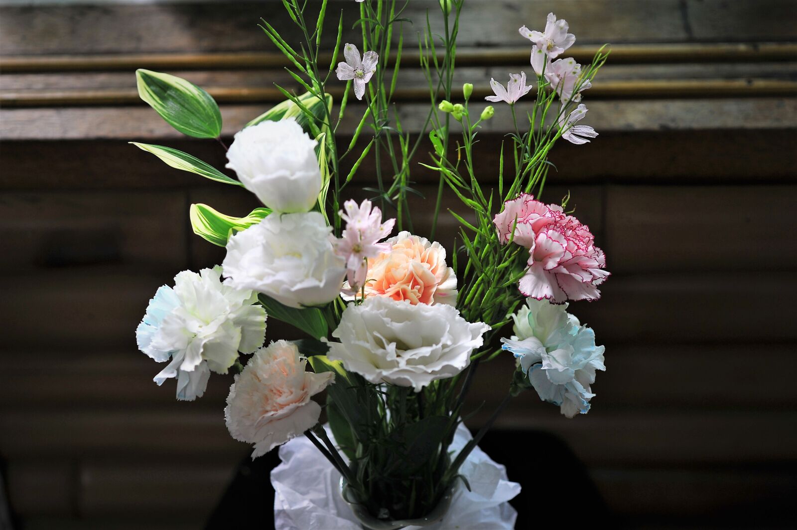 Nikon D3S sample photo. Mother's day, carnation, filial photography