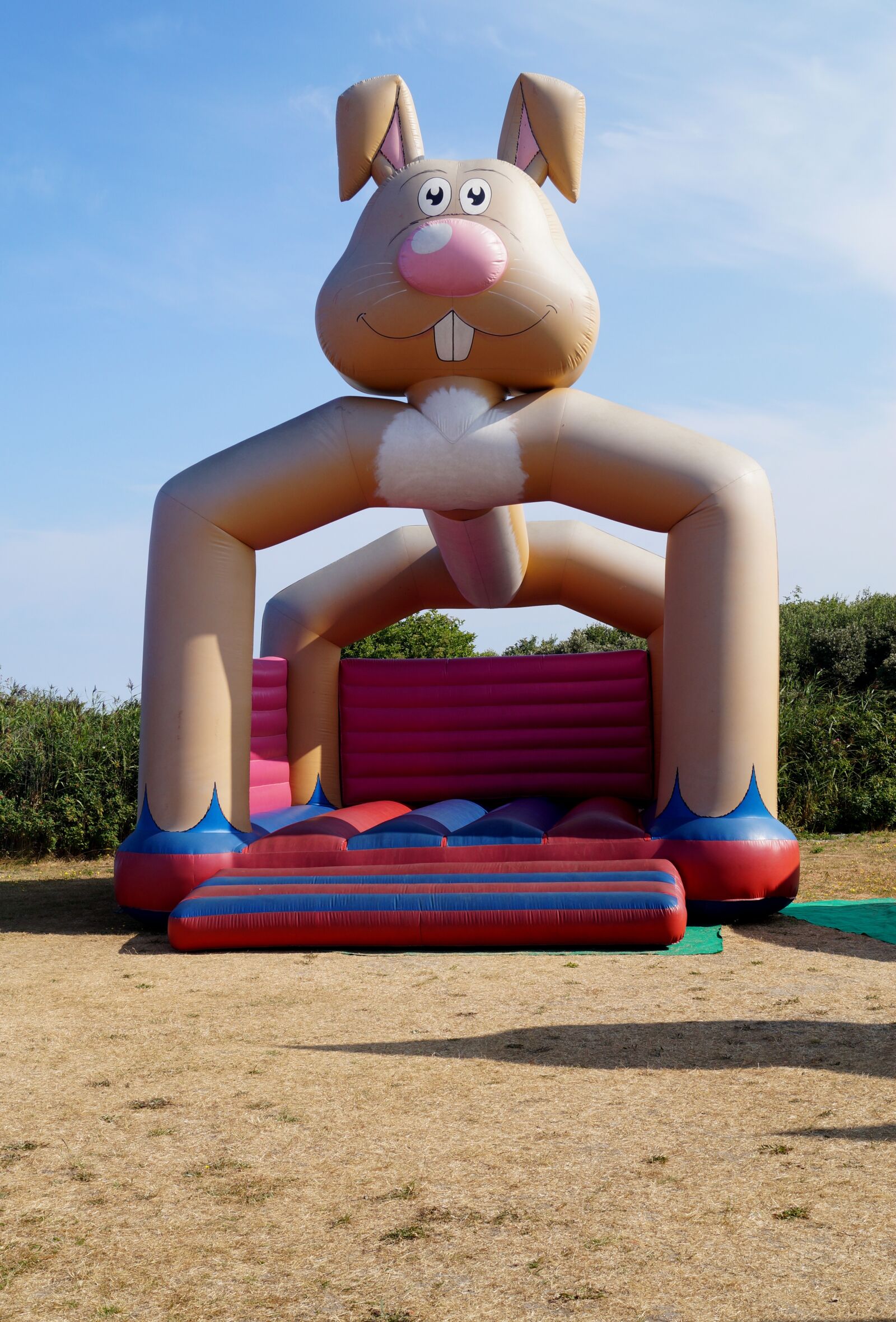 Sony DT 18-55mm F3.5-5.6 SAM II sample photo. Bouncy castle, game device photography
